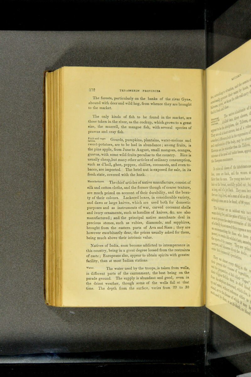 The forests, particularly on the hanks of the abound with deer and wild hog, from whence they to the market. river Gyne, are brought The only kinds of fish to be found in the market, are those taken in the river, as the cockup, which grows to a great size, the murrell, the mangoe fish, with several species of prawns and cray fish. tables. 'c°e' Gourds, pumpkins, plantains, water-melons and sweet-potatoes, are to be had in abundance; among fruits, is the pine apple, from June to August, small mangoes, oranges, guavas, with some wild fruits peculiar to the country. Rice is usually cheap,but many other articles of ordinary consumption, such as d’hall, ghee, pepper, chillies, cocoanuts, and even to- bacco, are imported. The betel nut is exposed for sale, in its fresh state, covered with the husk. Manufactures, The chief articles of native manufacture, consist of silk and cotton cloths, and the former though of coarse texture, are much prized on account of their durability, and the beau- ty of their colours. Lackered boxes, in considerable variety, and daws or large knives, which are used both for domestic purposes and as instruments of war, carved cocoanut shells and ivory ornaments, such as handles of knives, &c. are also manufactured; and the principal native merchants deal in precious stones, such as rubies, diamonds, and sapphires, brought from the eastern parts of Ava and Siam ; they are however exorbitantly dear, the prices usually asked for them, being much above their intrinsic value. Natives of India, soon become addicted to intemperance in this country, being in a great degree loosed from the restraint* of caste; Europeans also, appear to obtain spirits with greater facility, than at most Indian stations. water. The water used by the troops, is taken from well*, in different parts of the cantonment, the best being on the parade ground. The supply is abundant and good, even in the driest weather, though some of the wells fail at that time. The depth from the surface, varies from SO to SO