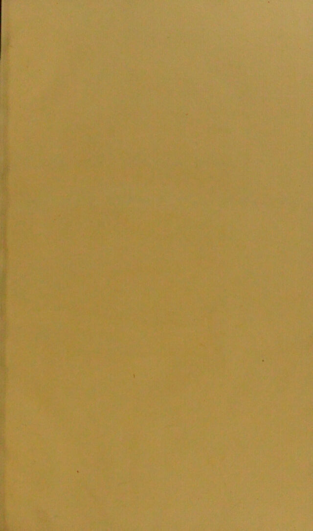 digitised image 3