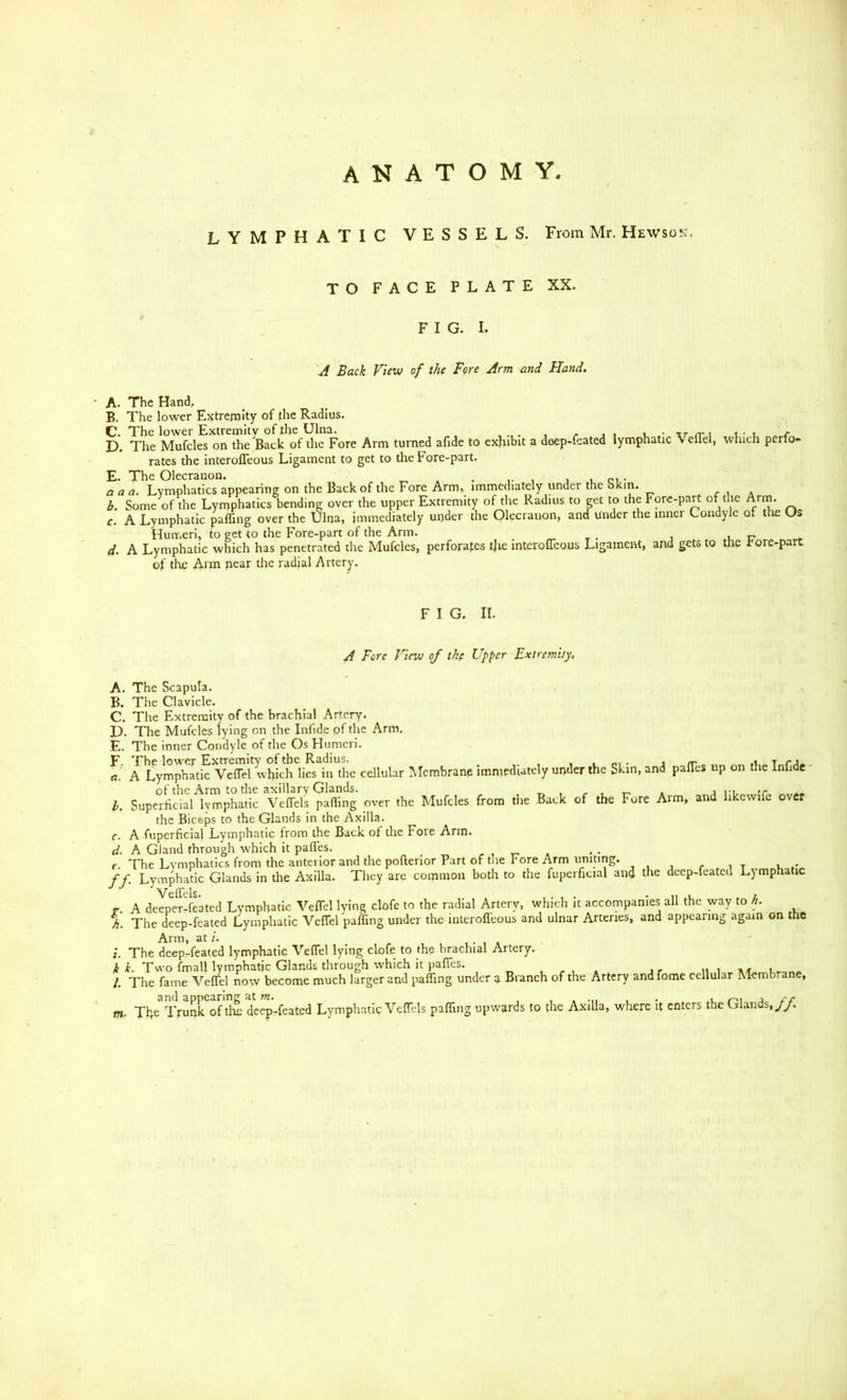 anatomy YMPHATIC VESSELS. From Mr. Hewson. TO FACE PLATE XX. FIG. I. A Back View of the Fore Arm and Hand, A. The Hand,. B. The lower Extremity of the Radius. C. The lower Extremity of the Ulna. u i u- t ^ r D. The Mufcles on the Back of the Fore Arm turned afide to exhibit a doep-feated lymphatic Vellel, which perfo- rates the interofleous Ligament to get to the Fore-part. E. The Olecranon. , i .u ci • a a a. Lyniphatics appearing on the Back of the Fore Arm, immediately under the bkm. r i a h. Some of the Lymphatics bending over the upper Extremity of the Radius to get to the Fore-part of the Arm. e. A Lymphatic paffing over the Ulna, immediately under the Olecranon, and under the inner Condyle of tlie Os Humeri, to get to the Fore-part of the Arm. . _ _ . i u ir w d. A Lymphatic which has penetrated the Mufcles, perforates tjie interofleous Ligament, and gets to the fore-part of the Arm near the radial Artery. F I G. II. A Fore View of the Upper Extremity, A. The Scapula. B. The Clavicle. C. The Extremity of the brachial Artery. L). The Mufcles lying on the Infide pf the Arm. E. The inner Condyle of the Os Humeri. F. The lower Extremity of the Radius. ... .10,. j /r .r r a. A Lymphatic Veffel which lies in the cellular Membrane immediately under the Skin, and pafles up on the Infide of the Arm to the axillary Glands. ^ . 1 n h. Superficial lymphatic Veflels palling over the Mufcles from the Back of the Fore Arm, and hkewife over the Biceps to the Glands in the Axilla, f. A fuperficial Lymphatic from the Back of the Fore Arm. d. A Gland through which it pafles. _ , a e. The Lymphatics from the anterior and the pofterior Part of tlie Fore Arm uniting. /-.it u »• ff. Lymphatic Glands in the Axilla. They are common both to the fuperficial and the deep-feated Lymphatic ^ ^ Veflels. r. A deeper-fe’ated Lymphatic Veflel lying clofe to the radial Artery, which it accompanies all the way to h. h. The deep-feated Lymphatic Veflel palling under the interoffeous and ulnar Arteries, and appearing again on the Arm, at /. , . , . i. The deepTeated lymphatic Veffel lying clofe to the brachial Artery. k k. Two fmall lymphatic Glands through which it paflTes. , . r n 1 a/t I The fame Veffel now become much larger and pafling under Branch of the Artery andfome cellular Membrane, m- The Trunk of tl:^ deepTeated Lymphatic Veflels pafling upwards to the Axilla, where it enters the Glands,//.