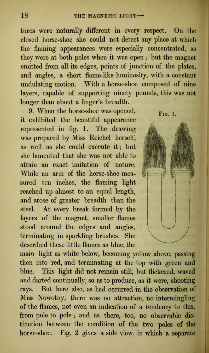 tures were naturally different in every respect. On the closed horse-shoe she could not detect any place at which the flaming appearances were especially concentrated, as they were at both poles when it was open; but the magnet emitted from all its edges, points of junction of the plates, and angles, a short flame-like luminosity, with a constant undulating motion. With a horse-shoe composed of nine layers, capable of supporting ninety pounds, this was not longer than about a finger’s breadth. 9. When the horse-shoe was opened, it exhibited the beautiful appearance represented in fig. 1. The drawing was prepared by Miss Reichel herself, as well as she could execute it; but she lamented that she was not able to attain an exact imitation of nature. While an arm of the horse-shoe mea- sured ten inches, the flaming light reached up almost to an equal length, and arose of greater breadth than the steel. At every break formed by the layers of the magnet, smaller flames stood around the edges and angles, terminating in sparkling brushes. She described these little flames as blue, the main light as white below, becoming yellow above, passing then into red, and terminating at the top with green and blue. This light did not remain still, but flickered, waved and darted continually, so as to produce, as it were, shooting rays. But here also, as had occurred in the observation of Miss Nowotny, there was no attraction, no intermingling of the flames, not even an indication of a tendency to this, from pole to pole; and as there, too, no observable dis- tinction between the condition of the two poles of the horse-shoe. Fig. 2 gives a side view, in which a separate