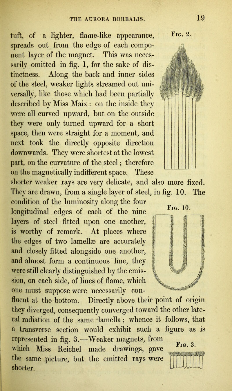 tuft, of a lighter, flame-like appearance, Fig. 2- spreads out from the edge of each compo- nent layer of the magnet. This was neces- sarily omitted in fig. 1, for the sake of dis- tinctness. Along the back and inner sides of the steel, weaker lights streamed out uni- versally, like those which had been partially described by Miss Maix : on the inside they were all curved upward, but on the outside they were only turned upward for a short space, then were straight for a moment, and next took the directly opposite direction downwards. They were shortest at the lowest part, on the curvature of the steel; therefore on the magnetically indifferent space. These shorter weaker rays are very delicate, and also more fixed. They are drawn, from a single layer of steel, in fig. 10. The condition of the luminosity along the four longitudinal edges of each of the nine layers of steel fitted upon one another, is worthy of remark. At places where the edges of two lamellae are accurately and closely fitted alongside one another, and almost form a continuous line, they were still clearly distinguished by the emis- sion, on each side, of lines of flame, which one must suppose were necessarily con- fluent at the bottom. Directly above their point of origin they diverged, consequently converged toward the other late- ral radiation of the same damella; whence it follows, that a transverse section would exhibit such a figure as is represented in fig. 3.—Weaker magnets, from which Miss Reichel made drawings, gave the same picture, but the emitted rays were shorter. ^ Fig. 10.