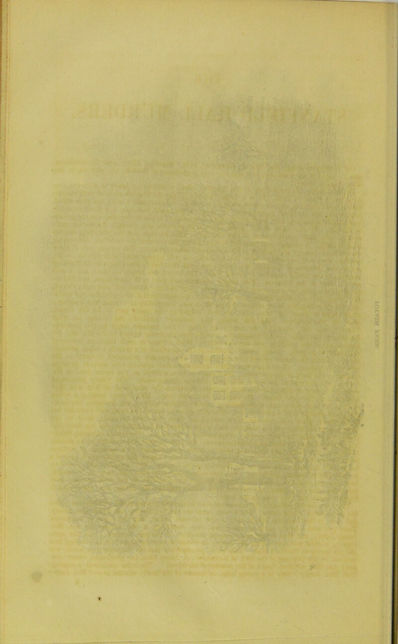4 \ M, -.111 ©*? •/'.' *■ ‘ ’ ' > f*v I >1; '|«ll,*l^l^V |■■. . I i'};J‘T.Y'- „i.j' :.. ‘S ^ , ' 'f -) V. ■■'■ ■' ' ^-f. fv': ,' ■’-■ •>. ■ / : * * r^ Aurti '^*'* “'• p:) .-■ •' ,. ■•'■? *s* *v ..*?-#■ w-tk..- V.ii/JrA ‘I'-r! y ■■., ~^Ai ^ *»^*^-* ^ :■•■*’■■* f-i^' : ’-. -.S'*^'.:- w »<v.-^tawteyjiliVH^NWt.',141 y-.-■-:».' '* rv1> ' ■'• : / » ?** V * - •■■■. . ■ ■ i ^- ■<>*•■< .,>. , V .'k , ■ M'-ei ’' C*v >*;v, r'-fO.»?r^^|*»'!i *r'