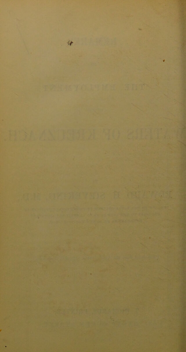 digitised image 2