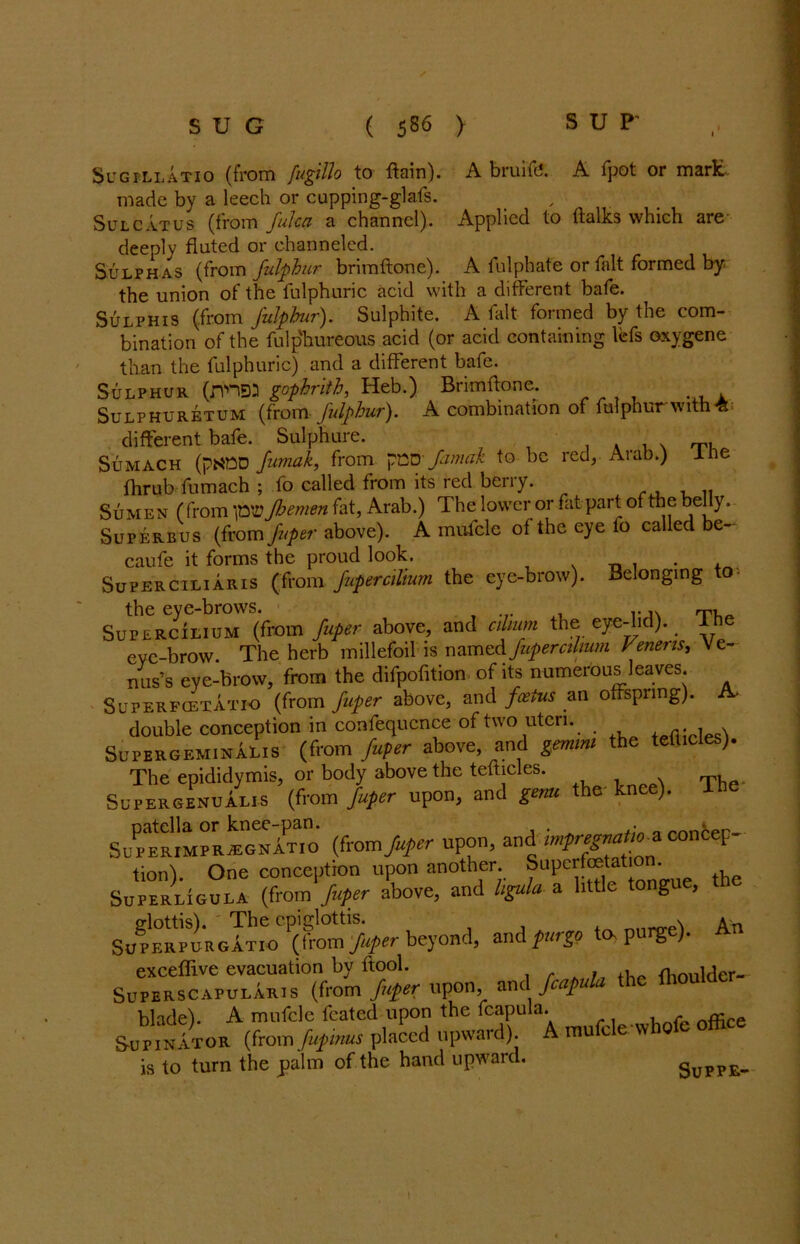 Sugillatio (from fugillo to ftain). A bruiftf. A fpot or mart made by a leech or cupping-glafs. Sulcatus (from julep a channel). Applied to ftalks which are deeply fluted or channeled. Sulphas (from fulphur brimftone). A fulphate or fait formed by the union of the fulphuric acid with a different bafe. Sulphis (from fulphur). Sulphite. A fait formed by the com- bination of the fulphureous acid (or acid containing lefs oxygene than the fulphuric) and a different bafe. Sulphur (rvnsa gophrith, Heb.) Brimftone. Sulphuretum (from fulphur). A combination of fulphur with-a different bafe. Sulphure. . , Sumach (ptfnD fumak, from pCD Jamah to be red,. Arab.) 1 e fhrub fumach ; fo called from its red berry. Sumen (from p®,Jhemen fat, Arab.) The lower or fat part of the belly. Superbus (from fuper above). A mufcle of the eye fo called be~ caufe it forms the proud look. _ . Superciliaris (from fupercilium the eye-brow). Belonging to the eye-brows. rp, SupercIlium (from fuper above, and ahum the| eye-lid). ihe eve-brow. The herb millefoil is o^meAfupercilvum Veneris, Ve- nus’s eye-brow, from the difpofition of its numerous leaves. Superfcetatio (from fuper above, and foetus an offspring). A- double conception in confequcnce of two uteri. . , . SupergeminaLis (from fuper above, and gemmi the tefticles). The epididymis, or body above the tefticles. Super genu alis (from fuper upon, and genu the knee). T SupERM^R^GNiTio (from fuper upon, and mpregnat^z oontep- tion). One conception upon another. Su perforation. Superligula (from fuper above, and ligula a little ongu , SofEWURoI^io^VroC^ beyond, and {urge to. purge). An upon, and Mula the thouUe, blade). A mufcle feated upon the fcapula. nffice SupinItor (from fup inus placed upward). A mufcle whofc office is to turn the palm of the hand upward. Suppe-