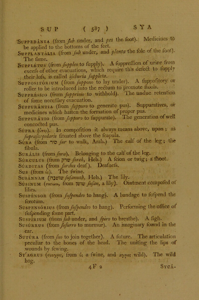 'Suppedanea (from Jub under, and pes the foot). Medicines to be applied to the bottoms of the feet. Sup pl ant alia (from Jub under, and plant a the foie of tne foot). The fame. - . c Suppletus (from Juppleo to fupply). A fuppreffion of urine from excefs-of other evacuations, which require this defect to 1 apply their lofs, is called ijchuria fuppleta. Suppositorium (from juppono to lay under). A fuppoulory 01 roller to be introduced into the redtum to promote llculs. Suppressio (from Jupprinio to withhold). 1 he undue letention of fome neceliary evacuation. Suppurantia (from Juppuro to generate pus). Suppuratives, oi medicines which halien the formation of proper pus. Suppuratio (from Juppuro to fuppurate). The generation of well concodted pus. Supra (vVsp). In composition it always means above, upon ; as Juprajccpularis lituated above the fcapula. Sura (from TD Jur to walk, Arab.) The calf of the leg; the fibula. Suralis (from Jura), Belonging to the calf of the leg. Surculus (from piip Jorek, Heb.) A feion or twig; a fhoot. Surditas (from furdus deaf). Deafnefs. Sus (from u;). The fwine. Susannah (j\yu'\vj fujannah, Heb.) The lily. Susinum (<ns<nm, from JuJan, a lily). Ointment cOmpofed of lilies. Suspensor (from Jufpendeo to hang). A bandage to fufpend the ferotum. Suspensorius (from Jufpendeo to hang). Performing the office of fufpending fome part. Suspirium (Jvomfub under, and fpiro to breathe). A figh. Susurrus (from JuJurro to murmur). An imaginary found in the ear. Sutura (from Juo to join together). A future. The articulation peculiar to the bones of the head. The uniting the lips of wounds by fewing. Sy'agrus from J; a fwine, and Kyoto; wild). The wild hog. 4F 2 € Syca-