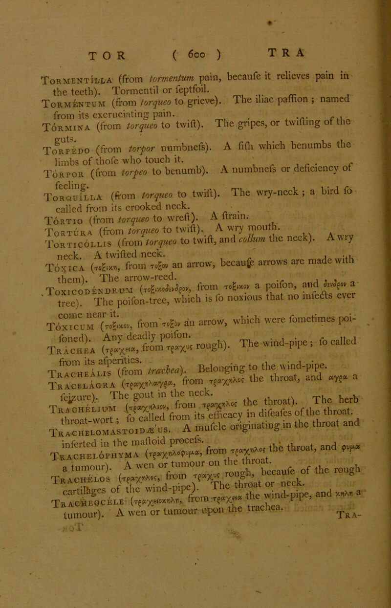 Tormentilla (from tormentum pain, becaufe it relieves pain in the teeth). Tormentil or feptfoil. Tormentum (from torqueo to. grieve). The iliac pamon ; named from its excruciating pain. . . , T6rmina (from torqueo to twift). The gripes, or twitting of the rp(^RP£Do (from torpor numbnels). A fifh which benumbs the limbs of thofe who touch it. r Torpor (from torpeo to benumb). A numbnefs or deficiency ot Torqu?lla (from torqueo to twift). The wry-neck ; a bud fo called from its crooked neck. Tortio (from torqueo to wreft). A ftrain. Tortura (from torqueo to twift). A wry mouth. Torticollis (frotn torqueo to twift, and collum the neck). A wry neck. A twitted neck. , . , Toxica (togixi, from to£ov an arrow, because arrows are made with them). The arrow-reed. , , « Toxic ODEN DRUM (r cfao^ov, from rofrxou a poifon, and Saipv a tree). The poifon-tree, which is fo noxious that no mfe&s ever fromVf. an arrow, which were fometimes poi- l'oned). Any deadly pcilon. called TaicHEA (w*> .from VXK rough). Thewmd-prpe, tSS-MS «k). Belonging to the wind-pipe. SSgKA ‘he **““*> *«- a fcj^nre). The gout in the1 nee - . throat). The herb “wo™ few’ftomVelcacy in difeafes of the throat. A mufcle originatmg in the throat and inferted in the ipaftoid procefi. _ . , an(j 9x)[itX TkACHELOPHVMA “ th'0a*> * ^ „■sz “nd a tumour). A wen or tumour upon the trachea. XaA.