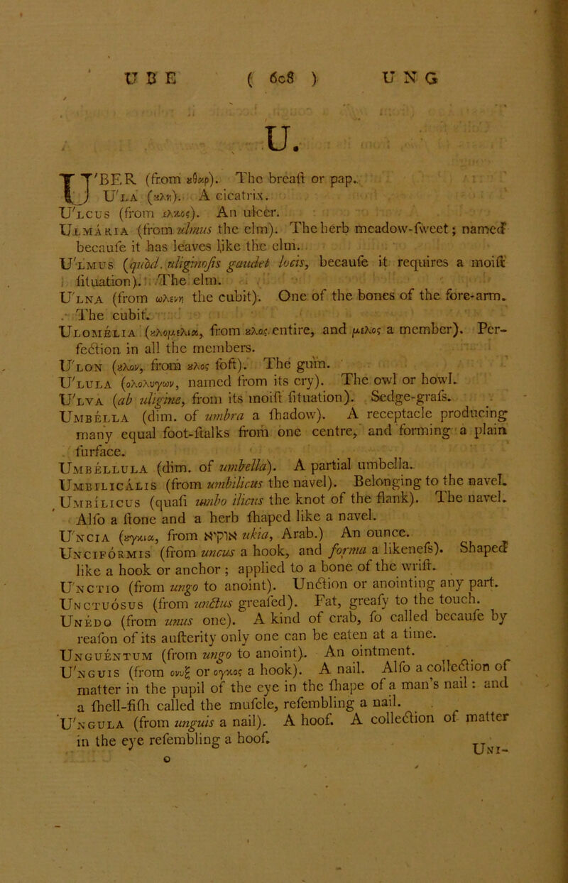 U. U'BER. (from »9«p). The bread or pap.. U'la (aAti).- A cicatrix. Ulcus (from iXycof). An ulcer. Ulmaria (from ulmus the elm). The herb meadow-fvveet; named becaufe it has leaves (ike the elm. Ulmus {quad, uligmofis gaadet bets, becaufe it requires a moift lituation). The elm. U lna (from wAev* the cubit). One of the bones of the fore-arm. .• The cubit. Ulomjelia (zXoiJuXtot, from kAo? entire, and paAo? a member). Per- fection in all the members. U'lon (s\ov, from «Ao? loft). The gum. U'lula (oAoAuywv, named from its cry). The owl or howl. U'lva (ab uligine, from its moift fituation). Sedge-grafs. Umbella (dim. of umbra a fhadow), A receptacle producing many equal foot-ftalks from one centre, and forming a plain lurface. Umbellula (dim. of umbella'). A partial umbella.. Umbilicalis (from umbilicus the navel). Belonging to the navel. Umbilicus (quail umbo ilicus the knot of the flank). (Lhe navel. Alio a (tone and a herb fhaped like a navel. Unci a (ay>ua, from hTpUPi ukia, Arab.) An ounce. Unciformis (from uncus a hook, and forma a likenefs). Shaped like a hook or anchor ; applied to a bone of the wrifr. Unctio (from ungo to anoint). UnCtion or anointing any pait. Unctuosus (from inidus greafed). Fat, greafy to the touch. Unedo (from unus one). A kind of crab, fo called becaufe by reafon of its aufterity only one can be eaten at a time. Unguentum (from ungo to anoint). An ointment. Unguis (from ow£ oroyvco? a hook). A nail. Alfo a collection of matter in the pupil ot the eye in the fliape of a man s nail. and a fhcll-fifli called the mufcle, refembling a nail. U'ngula (from unguis a nail). A hoof. A collection of matter in the eye refembling a hoof. Uni-