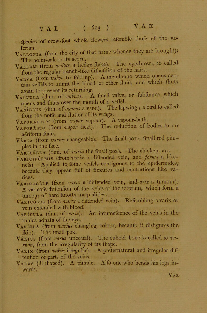 ipecies of crow-foot whofe flowers refemble thofe of the va- T rian Vall6nia (from the city of that name whence they are brought); The holm-oak or its acorn. r n 1 Vallum (from vallus a hedge-ftake). The eye-brow; fo called from the regular trench-like difpofition of the hairs. Valva (from valvo to fold up). A membrane which opens cei- tain veffels to admit the blood or other fluid, and which fhuts again to prevent its returning. Valvula (dim. of valva). . A fmall valve, or fubftance which opens and fhuts over the mouth of a veffel. < Vanillus (dim. of vannus a vane). The lapwing ; a bud fo Called from the noifevand flutter of its wings. Vaporarium (from vapor vapour). A vapour-bath. Vaporatio (from vapor heat). The reduction of bodies to an aeriform date.. . Varia (from vanus changeable). The fmall pox ; fmall led pim- ples in the face. Varicella (dim. of varia the fmall pox). The chicken pox. Variciformis (from varix a diftended vein, and forma a like- nefs). Applied to fome veffels contiguous to the epidermides* becaufe they appear full of flexures and contortions like va- rices. Varicocele (from varix a diftended vein, and-unAn a tumour). A varicofe diftenfton of the veins of the ferotum, which form a tumour of hard knotty inequalities* Varicosus (from varix a diftended vein). Refembling a varix or vein extended with blood. Varicula (dim. of varix). An intumefcence of the veins in the tunica adnata of the eye.. Variola (from vanus changing colour, becaufe it disfigures the fkin). The fmall pox. Varius (from varus unequal). The cuboid bone is called os va- riant, from the irregularity of its fhape. Varix (from varus irregular). A preternatural and irregular de- tention of parts of the veins. Varus (ill fhaped). A pimple. Alfo one who bends his legs in- wards. Vas-