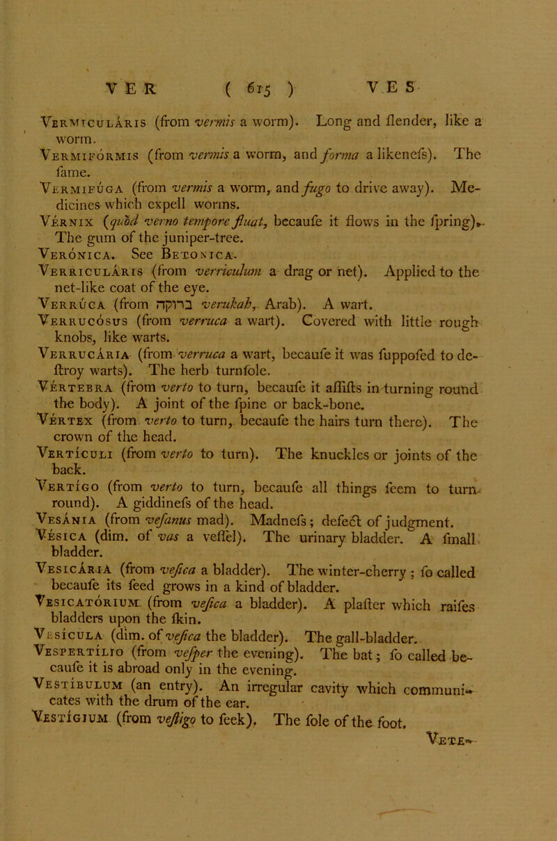 Vermtcularis (from vermis a worm). Long and (lender, like a worm. Vermiformis (from vermis a worm, and forma a likenefs). The fame. Vermifuga (from vermis a worm, and fugo to drive away). Me- dicines which cxpell worms. Vernix (quod verno tempore fluat, becaufe it flows in the fpring)*. The gum of the juniper-tree. Veronica. See Betonica. Verricularis (from verriculum a drag or net). Applied to the net-like coat of the eye. Verruca (from npra verukah, Arab). A wart. Verrucosus (from verruca a wart). Covered with little rough knobs, like warts. Verrucaria (from verruca a wart, becaufe it was fuppofed to de- ftroy warts). The herb turnfole. Vertebra (from verto to turn, becaufe it aflifts in turning round the body). A joint of the fpine or back-bone. Vertex (from verto to turn, becaufe the hairs turn there). The crown of the head. Verticuli (from verto to turn). The knuckles or joints of the back. Vertigo (from verto to turn, becaufe all things feem to turn, round). A giddinefs of the head. Vesania (from vefanus mad). Madnefs; defedt of judgment. Vesica (dim. of vas a veflel), The urinary bladder. A fmall bladder. Vesicar iA (from vefica a bladder). The winter-cherry ; fo called becaufe its feed grows in a kind of bladder. Vesicatorium. (from vefica a bladder). A plafter which raifes bladders upon the (kin. Vesicula (dim. of vefica the bladder). The gall-bladder. Vespertilio (from vefper the evening). The bat; fo called be- caufe it is abroad only in the evening. Vestibulum (an entry). An irregular cavity which communi- cates with the drum of the ear. Vestigium (from vejligo to feek). The foie of the foot. Vet
