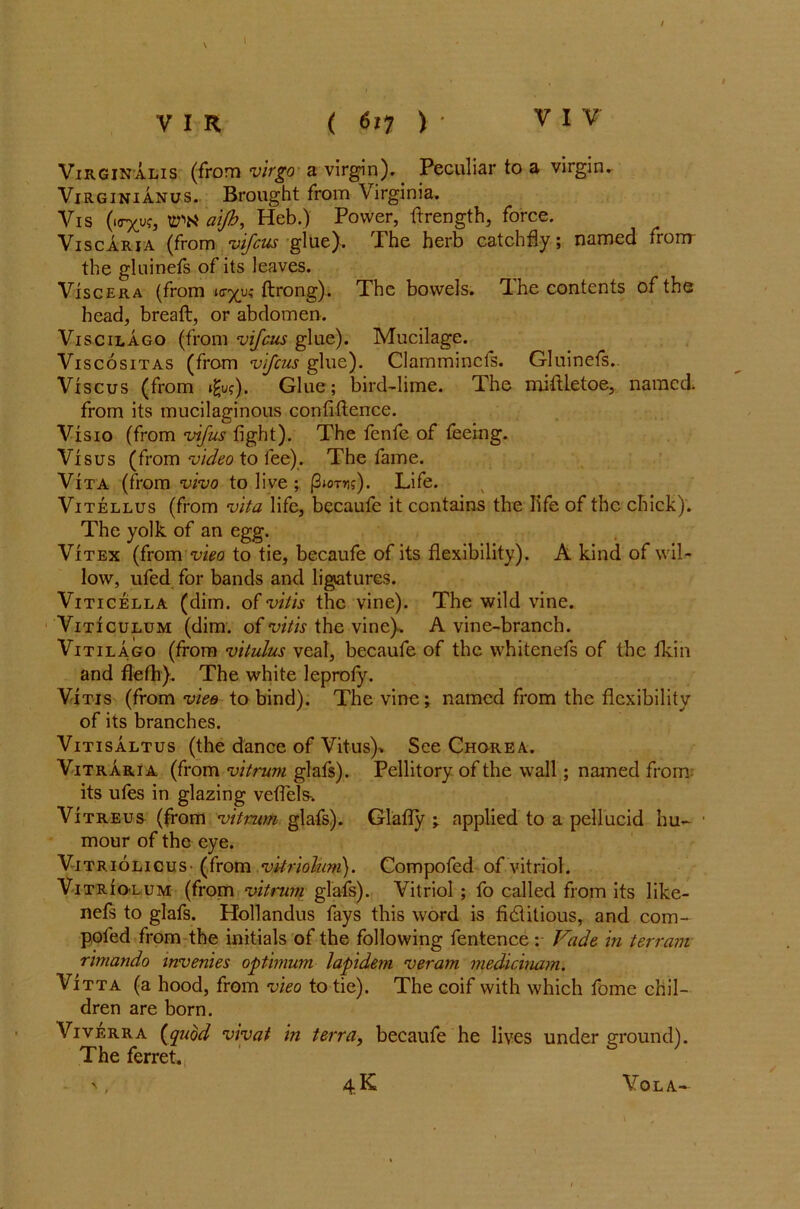 v \ Virginalis (from virgo a virgin). Peculiar to a virgin. Virginianus. Brought from Virginia. Vis ttW aijh, Heb.) Power, ftrength, force. Vise aria (from vifeus glue). The herb catch fly; named from the gluinefs of its leaves. Viscera (from ftrong). The bowels. Ihe contents of the head, bread, or abdomen. Viscilago (from vifeus glue). Mucilage. Viscositas (from vifeus glue). Clammincfs. Gluinefs. Viscus (from i£u?), Glue; bird-lime. The miftletoe, named, from its mucilaginous confidence. A^isio (from vifus fight). The fenfe of feeing. Vfsus (from video to fee). The fame. Vita (from vivo to live ; |3»otjij). Life. Vitellus (from vita life, becaufe it contains the life of the chick). The yolk of an egg. V1 tex (from vieo to tie, becaufe of its flexibility). A kind of wil- low, ufed for bands and ligatures. Viticella (dim. of vitis the vine). The wild vine. Viticulum (dim. of vitis the vine), A vine-branch. ViTiLAGO (from vitulus veal, becaufe of the whitenefs of the Ikin and flefh). The white leprofy. Vitis (from vieo to bind). The vine; named from the flexibility of its branches. Vitisaltus (the dance of Vitus), See Chgrea. Vitraria (from vitrum glafs). Pellitory of the wall; named from its ufes in glazing veflels-. Vitreus (from vitrum glafs). Glafly ; applied to a pellucid hu- ■ mour of the eye. Vttriolicus (from vitriolum). Compofed of vitriol. Vitriolum (from vitrum glafs). Vitriol ; fo called from its like- nefs to glafs. Hollandus fays this word is fictitious, and corn- poled from the initials of the following fentenceVade in terrain nmando mvenies optimum lapidem veram medicinam. Vitta (a hood, from vieo to tie). The coif with which fome chil- dren are born. Viverra {quod vivat in terra, becaufe he lives under ground). The ferret. 4K Vo LA-