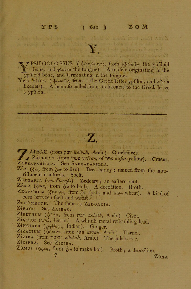 Y. - • f / . i .* ■ .3 •• • . ! t \ - YPSILOGLOSSUS (m|/iXoyXw(T(rof, from 4»£o«J»is the ypfiloid bone, and y\uc<ra, the tongue). A mufclc originating in the ypfiloid bone, and terminating in the tongue. Ypsil*oides (4iWn?, from u the Greek letter ypfilon, and a likenefs). A bone fo called from its likenefs to the Greek letter v ypfilon. ■ z. • ‘ •» O t * : i i •'  , „. . ZAIBAC (from pnhr zaibak, Arab.) Guickfilver. Zafpran (from pDJt zafran, of isu zafar yellow). Crocus ZarsapaRilla. See Sarsaparilla. Zea (£<*, from to live). Beer-barley; named from the nou- rifhment it affords. Spelt. Zedoaria (vox Sinenfis). Zedoary ; an eaftern root. Zema (fax, from to boil). A decodtion. Broth. Zeopy'rum (^ojtv^ov, from fpelt, and ttv^ov wheat). A kind of corn between fpelt and wheat. Zerumbeth. The fame as Zedoaria. Zibacii. See Zajbac. Zibetiium from mir zobeth, Arab.) Civet. Zincum (zink, Germ.) A whitifh metal refembling lead. ZvIngiber Indian). Ginger. Zizanium (li&viov, from few zivan, Arab.) Darnel. ZjziBA (from m’QT zibibab, Arab.) The juleb-tree. Zizipha. See Ziziba. Zomus (gaps, from to make hot). Broth ; a decodtion. 7 Zona