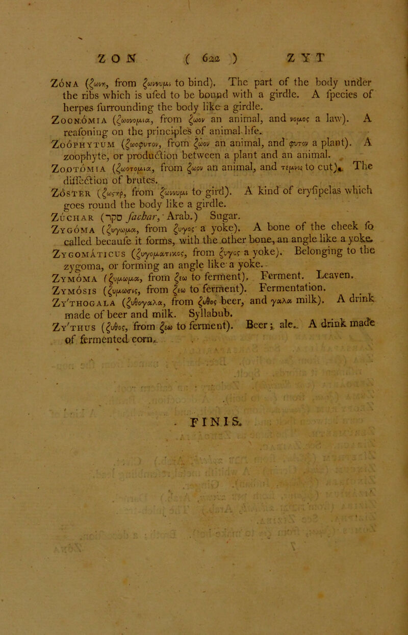 I Z O N ( 62Uz ) Z Y T Zona from to bind). The part of the body under the ribs which is ufed to be bound with a girdle. A fpecies of herpes furrounding the body like a girdle. Zoon.omia (£woi/oju,ia, from <f>ov an animal, and voy.o? a law). A rcafoning on the principle's of animal-life. Zoophytum (^uoipvTov, from £uov an animal, and pwov a plant). A zoophyte, or production between a plant and an animal. Zootomia (^woToju-ta, from Quov an animal, and TEfAVfeito cut)*. The diifeCtion of brutes. Zoster (£wy»jp, from £wiiwpi to gird). A kind of eryfipelas which goes round the body like a girdle. Zuchar (npo fa char,' Arab.) Sugar. Zygoma ({vya/M, from £uy?5: a yoke). A bone of the cheek fo. called becaufe it forms, with the other bone, an angle like a yoke. Zygomaticus (£vyoy.xTivtc?, from ^vyo? a yoke). Belonging to the zygoma, or forming an angle like a yoke.- Zymoma from $u to ferment). Ferment. Leaven. Zymosis from to ferment). Fermentation. Zy^thogala (^uOoyaAa, from beer, and yxXx milk), A drink made of beer and milk. Syllabub. > Zy'thus (^u0of, from to ferment). Beer;, ale.. A drink made of fermented corn,.. .! • f! - ■ ■' ’ •' ■- Vi : . FTNIS.