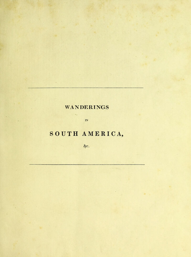 WANDERINGS SOUTH AMERICA, &^C.