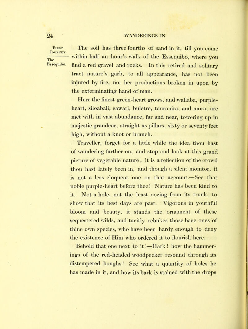 First Journey. The Essequibo, The soil has three fourths of sand in it, till yon come \vithin half an hour’s walk of the Essequibo, where you find a red gravel and rocks. In this retired and solitary tract nature’s garb, to all appearance, has not been injured by fire, nor her productions broken in upon by the exterminating hand of man. Here the finest green-heart grows, and wallaba, purple- heart, siloabali, sawari, buletre, tauronira, and mora, are met with in vast abundance, far and near, towering up in majestic grandeur, straight as pillars, sixty or seventy feet high, without a knot or branch. Traveller, forget for a little while the idea thou hast of wandering farther on, and stop and look at this grand picture of vegetable nature ; it is a reflection of the crowd thou hast lately been in, and though a silent monitor, it is not a less eloquent one on that account.—See that noble purple-heart before thee! Nature has been kind to it. Not a hole, not the least oozing from its trunk, to show that its best days are past. Vigorous in youthful bloom and beauty, it stands the ornament of these sequestered wilds, and tacitly rebukes those base ones of thine own species, who have been hardy enough to deny the existence of Him who ordered it to flourish here. Behold that one next to it!—Hark ! how the hammer- ings of the red-headed woodpecker resound through its distempered boughs! See what a quantity of holes he has made in it, and how its bark is stained with the drops
