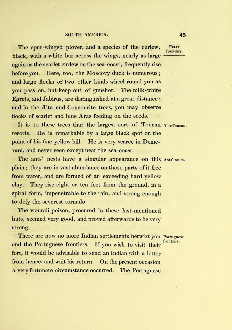 The spur-winged plover, and a species of the curlew, black, with a white bar across the wings, nearly as large again as the scarlet curlew on the sea-coast, frequently rise before you. Here, too, the Moscovy duck is numerous ; and large flocks of two other kinds wheel round you as you pass on, but keep out of gunshot. The milk-white Egrets, and Jabirus, are distinguished at a great distance ; and in the iEta and Coucourite trees, you may observe flocks of scarlet and blue Aras feeding on the seeds. It is to these trees that the largest sort of Toucan resorts. He is remarkable by a large black spot on the point of his fine yellow bill. He is very scarce in Deme- rara, and never seen except near the sea-coast. The ants’ nests have a singular appearance on this plain; they are in vast abundance on those parts of it fi’ee from water, and are formed of an exceeding hard yellow clay. They rise eight or ten feet from the ground, in a spiral form, impenetrable to the rain, and strong enough to defy the severest tornado. The wourali poison, procured in these last-mentioned huts, seemed very good, and proved afterwards to be very strong. There are now no more Indian settlements betmxt you and the Portuguese frontiers. If you wish to visit their fort, it would be advisable to send an Indian mth a letter from hence, and wait his return. On the present occasion a very fortunate circumstance occurred. The Portuguese First Journey. TheToucan. Ants’ nests. Portuguese frontiers.