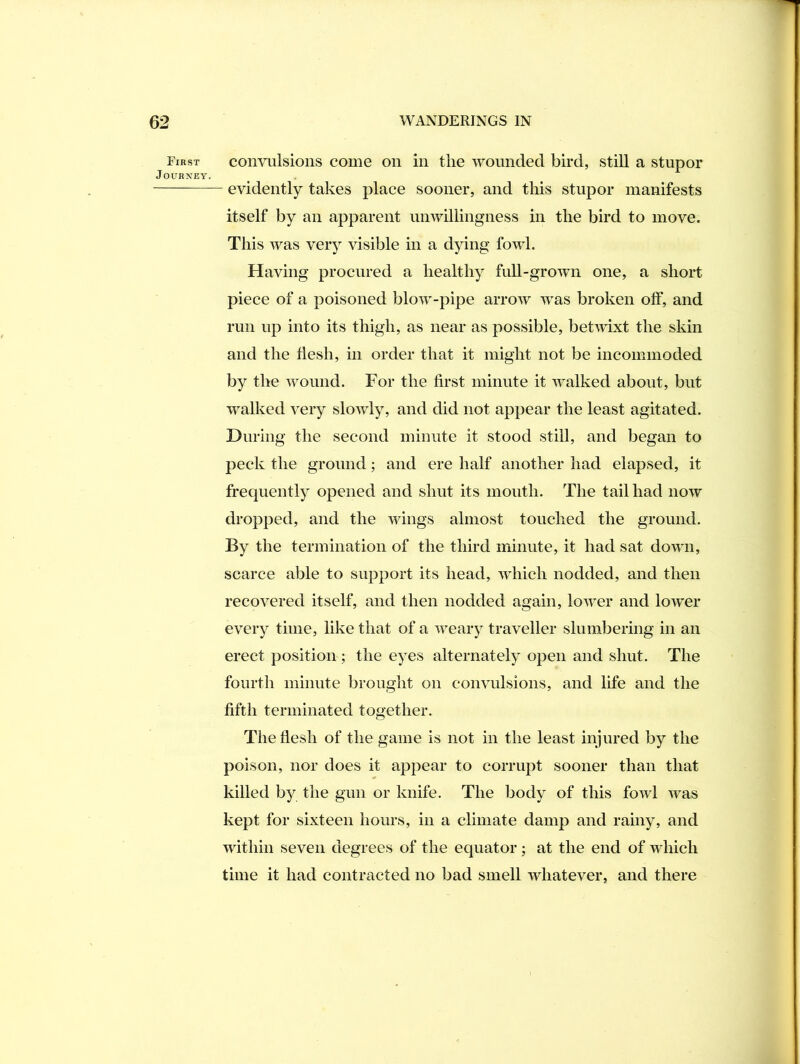 First coiivulsions coiiie Oil ill tlie wounded bird, still a stupor Journey. evidently takes place sooner, and this stupor manifests itself by an apparent unwillingness in the bird to move. This was very visible in a dying fowl. Having procured a healthy full-grown one, a short piece of a poisoned blow-pipe arrow was broken olF, and run up into its thigh, as near as possible, betwixt the skin and the flesh, in order that it might not be incommoded by the wound. For the first minute it walked about, but walked very slowly, and did not appear the least agitated. During the second minute it stood still, and began to jieck the ground; and ere half another had elapsed, it frequently opened and shut its mouth. The tail had now dropped, and the wings almost touched the ground. By the termination of the third minute, it had sat down, scarce able to support its head, which nodded, and then recovered itself, and then nodded again, lower and lower every time, like that of a weary traveller slumbering in an erect position ; the eyes alternately open and shut. The fourth minute brought on convulsions, and life and the fifth terminated together. The flesh of the game is not in the least injured by the poison, nor does it appear to corrupt sooner than that killed by the gun or knife. The body of this fowl was kept for sixteen hours, in a climate damp and rainy, and within seven degrees of the equator; at the end of which time it had contracted no bad smell whatever, and there