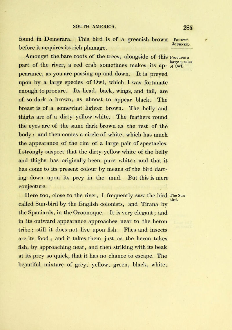found in Deinerara. This bird is of a greenish brown before it acquires its rich plumage. Amongst the. bare roots of the trees, alongside of this part of the river, a red crab sometimes makes its ap- pearance, as you are passing up and down. It is preyed upon by a large species of Owl, which I was fortunate enough to procure. Its head, back, wings, and tail, are of so dark a brown, as almost to appear black. The breast is of a somewhat lighter brown. The belly and thighs are of a dirty yellow white. The feathers round the eyes are of the same dark brown as the rest of the body ; and then comes a circle of white, which has much the appearance of the rim of a large pair of spectacles. I strongly suspect that the dirty yellow white of the belly and thighs has originally been pure white; and that it has come to its present colour by means of the bird dart- ing down upon its prey in the mud. But this is mere conjecture. Here too, close to the river, I frequently saw the bird called Sun-bird by the English colonists, and Tirana by the Spaniards, in the Oroonoque. It is very elegant; and in its outward appearance approaches near to the heron tribe; still it does not live upon fish. Flies and insects are its food ; and it takes them just as the heron takes fish, by approaching near, and then striking with its beak at its prey so quick, that it has no chance to escape. The beautiful mixture of grey, yellow, green, black, white. Fourth Journey. Procures a large species of Owl. The Sun- bird.