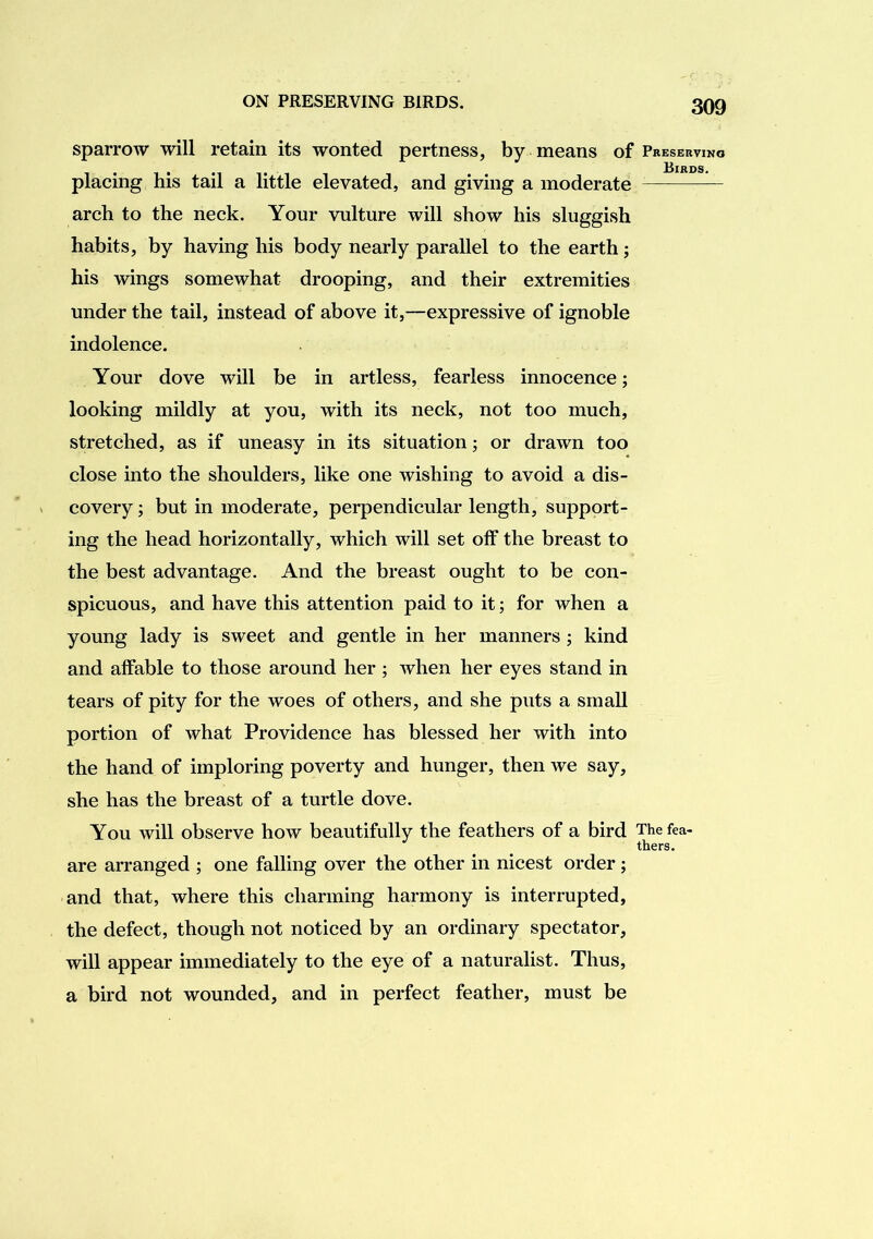 sparrow will retain its wonted pertness, by means of Presekvino , Birds. placing his tail a little elevated, and giving a moderate arch to the neck. Your vulture will show his sluggish habits, by having his body nearly parallel to the earth; his wings somewhat drooping, and their extremities under the tail, instead of above it,—expressive of ignoble indolence. Your dove will be in artless, fearless innocence; looking mildly at you, with its neck, not too much, stretched, as if uneasy in its situation; or drawn too close into the shoulders, like one wishing to avoid a dis- covery ; but in moderate, perpendicular length, support- ing the head horizontally, which will set off the breast to the best advantage. And the breast ought to be con- spicuous, and have this attention paid to it; for when a young lady is sweet and gentle in her manners; kind and alfable to those around her ; when her eyes stand in tears of pity for the woes of others, and she puts a small portion of what Providence has blessed her with into the hand of imploring poverty and hunger, then we say, she has the breast of a turtle dove. You will observe how beautifully the feathers of a bird The fea- thers. are arranged ; one falling over the other in nicest order; and that, where this charming harmony is interrupted, the defect, though not noticed by an ordinary spectator, will appear immediately to the eye of a naturalist. Thus, a bird not wounded, and in perfect feather, must be