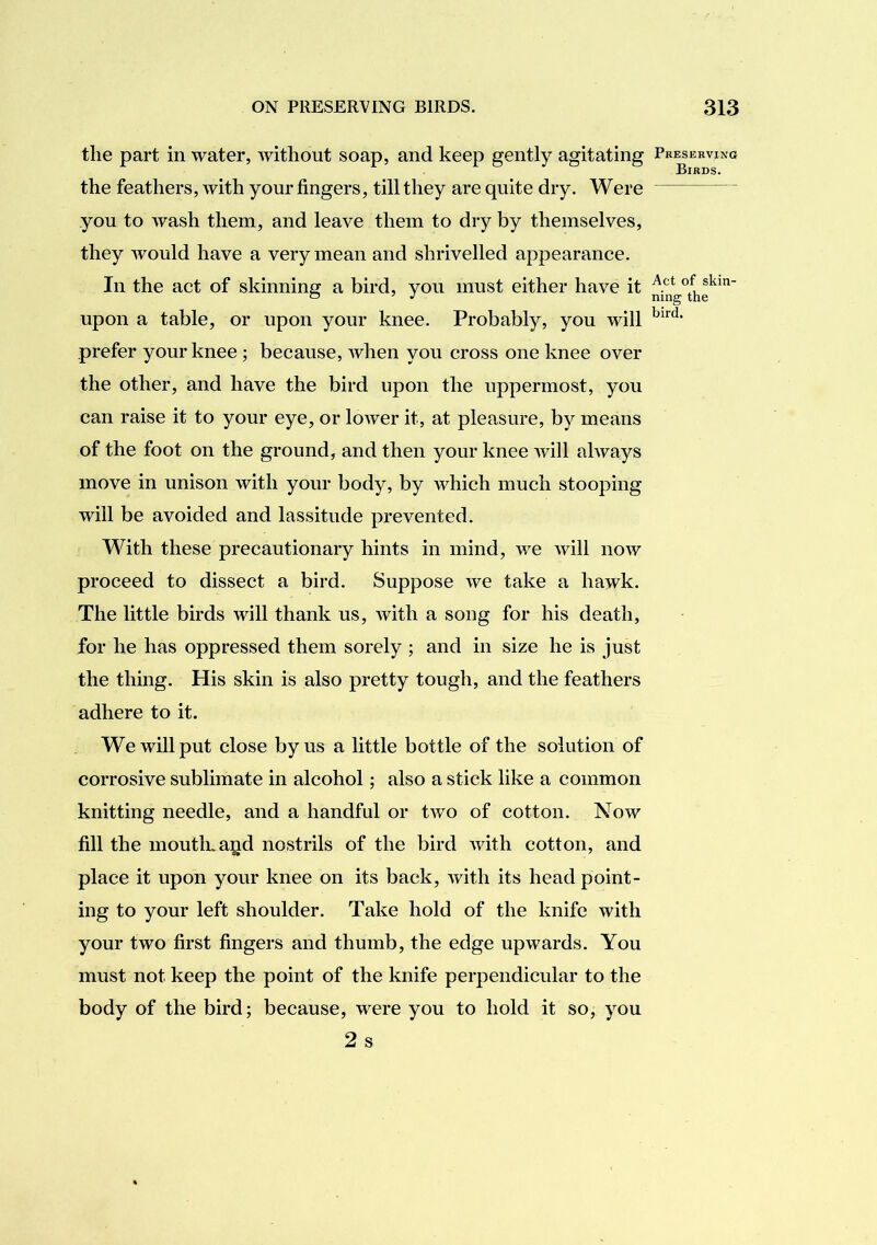 the part in water, Avitliout soap, and keep gently agitating the feathers, Avith your fingers, till they are quite dry. Were you to wash them, and leave them to dry by themselves, they Avould have a very mean and shrivelled appearance. In the act of skinning a bird, yon must either have it upon a table, or upon your knee. Probably, you will prefer your knee ; because, Avhen you cross one knee over the other, and have the bird upon the uppermost, you can raise it to your eye, or lower it, at pleasure, by means of the foot on the ground, and then your knee Avill always move in unison with your body, by which much stooping will be avoided and lassitude prevented. With these precautionary hints in mind, we will now proceed to dissect a bird. Suppose we take a hawk. The little birds Avill thank us, Avith a song for his death, for he has oppressed them sorely ; and in size he is just the thing. His skin is also pretty tough, and the feathers adhere to it. We will put close by us a little bottle of the solution of corrosive sublimate in alcohol; also a stick like a common knitting needle, and a handful or tAvo of cotton. Now fill the mouth. a:Qd nostrils of the bird AAdth cotton, and place it upon your knee on its back, Avith its head point- ing to your left shoulder. Take hold of the knife with your two first fingers and thumb, the edge upwards. You must not keep the point of the knife perpendicular to the body of the bird; because, were you to hold it so, you 2 s Presekving Birds. Act of skin- ning the