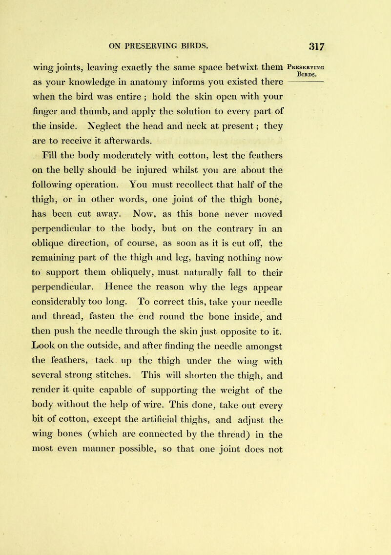 wing joints, leaving exactly the same space betwixt them as your knowledge in anatomy informs you existed there when the bird was entire ; hold the skin open with your finger and thumb, and apply the solution to every part of the inside. Neglect the head and neck at present; they are to receive it afterwards. Fill the body moderately with cotton, lest the feathers on the belly should be injured whilst you are about the following operation. You must recollect that half of the thigh, or in other words, one joint of the thigh bone, has been cut away. Now, as this bone never moved perpendicular to the body, but on the contrary in an oblique direction, of course, as soon as it is cut off, the remaining part of the thigh and leg, having nothing now to support them obliquely, must naturally fall to their perpendicular. Hence the reason why the legs appear considerably too long. To correct this, take your needle and thread, fasten the end round the bone inside, and then push the needle through the skin just opposite to it. Look on the outside, and after finding the needle amongst the feathers, tack, up the thigh under the wing with several strong stitches. This will shorten the thigh, and render it quite capable of supporting the weight of the body without the help of wire. This done, take out every bit of cotton, except the artificial thighs, and adjust the wing bones (which are connected by the thread) in the most even manner possible, so that one joint does not Preserving