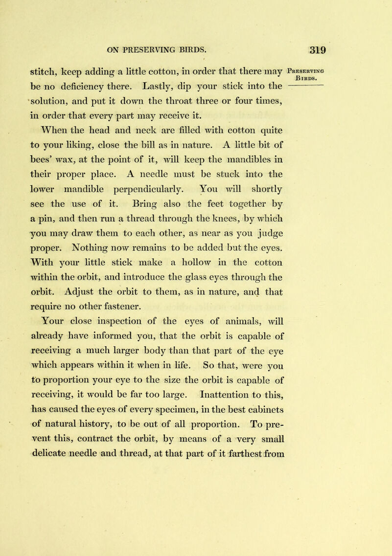 stitch, keep adding a little cotton, in order that there may be no deficiency there. Lastly, dip your stick into the 'solution, and put it down the throat three or four times, in order that every part may receive it. When the head and neck are filled with cotton quite to your liking, close the bill as in nature. A little bit of bees’ wax, at the point of it, will keep the mandibles in their proper place. A needle must be stuck into the lower mandible perpendicularly. You will shortly see the use of it. Bring also the feet together by a pin, and then run a thread through the knees, by which you may draw them to each other, as near as you judge proper. Nothing now remains to be added but the eyes. With your little stick make a hollow in the cotton within the orbit, and introduce the glass eyes through the orbit. Adjust the orbit to them, as in nature, and that require no other fastener. Your close inspection of the eyes of animals, will already have informed you, that the orbit is capable of receiving a much larger body than that part of the eye which appears within it when in life. So that, were you to proportion your eye to the size the orbit is capable of receiving, it would be far too large. Inattention to this, has caused the eyes of every specimen, in the best cabinets of natural history, to be out of all proportion. To pre- vent this, contract the orbit, by means of a very small delicate needle and thread, at that part of it farthest from Preserving