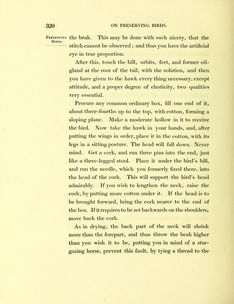 Preserving Birds. the beak. This may be done with such nicety, that the stitch cannot be observed ; and thus you have the artificial eye in true proportion. After this, touch the bill, orbits, feet, and former oil- gland at the root of the tail, with the solution, and then you have given to the hawk every thing necessary, except attitude, and a proper degree of elasticity, two qualities very essential. Procure any common ordinary box, fill one end of it, about three-fourths up to the top, with cotton, forming a sloping plane. Make a moderate hollow in it to receive the bird. Now take the hawk in your hands, and, after putting the wings in order, place it in the cotton, with its legs in a sitting posture. The head will fall down. Never mind. Get a cork, and run three pins into the end, just like a three-legged stool. Place it under the bird’s bill, and run the needle, which you formerly fixed there, into the head of the cork. This will support the bird’s head admirably. If you wish to lengthen the neck, raise the cork, by putting more cotton under it. If the head is to be brought forward, bring the cork nearer to the end of the box. If it requires to be set backwards on the shoulders, move back the cork. As in drying, the back part of the neck will shrink more than the forepart, and thus throw the beak higher than you wish it to be, putting you in mind of a star- gazing horse, prevent this fault, by tying a thread to the