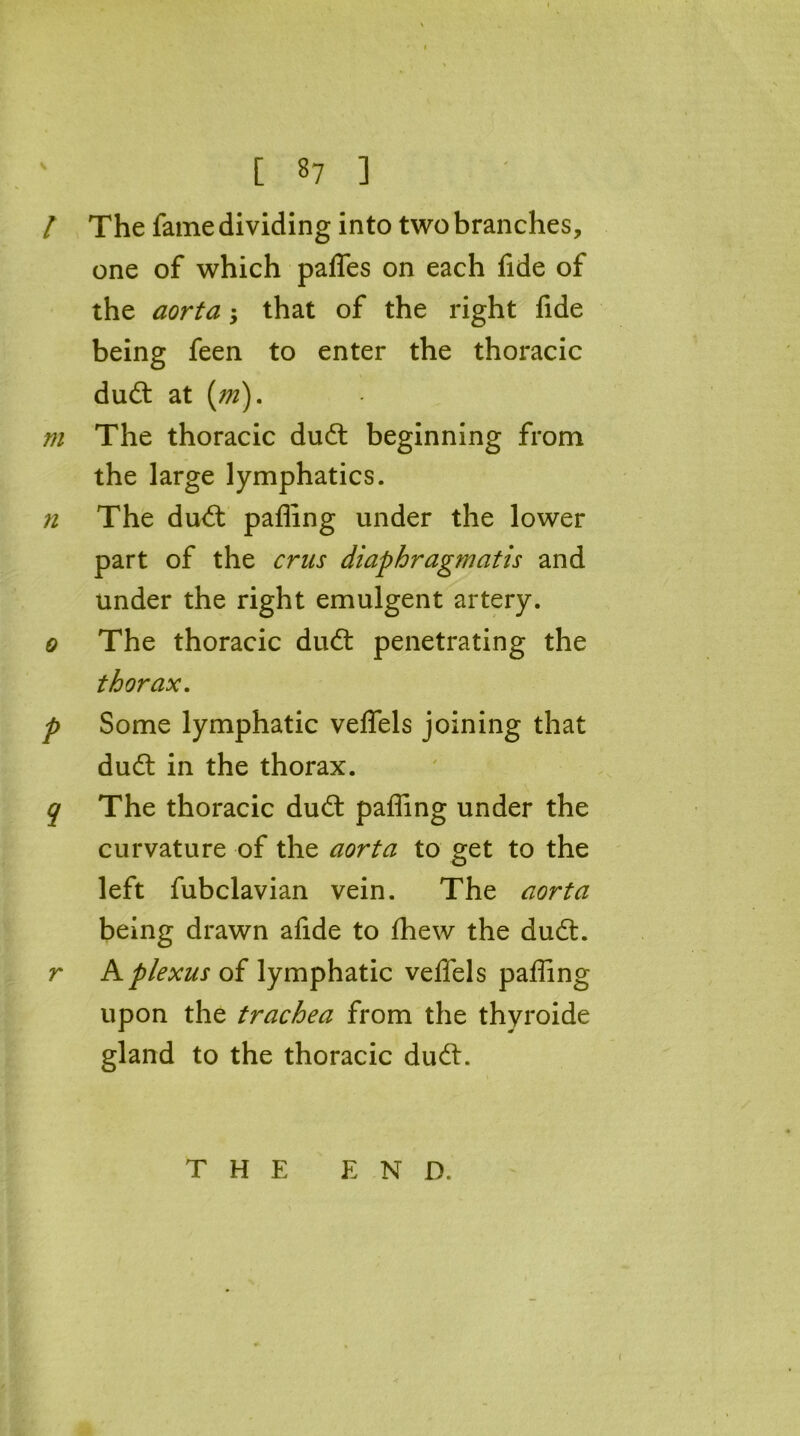 / The fame dividing into two branches, one of which palfes on each fide of the aorta -y that of the right fide being feen to enter the thoracic duft at (m). m The thoracic du6t beginning from the large lymphatics. ?i The du<ft palling under the lower part of the crus diaphragmatis and under the right emulgent artery. 0 The thoracic du6t penetrating the thorax. p Some lymphatic velfels joining that dudt in the thorax. q The thoracic dudt palling under the curvature of the aorta to get to the left fubclavian vein. The aorta being drawn afide to Ihew the dudt. r A plexus of lymphatic velfels palling upon the trachea from the thyroide gland to the thoracic du£t. THE END.