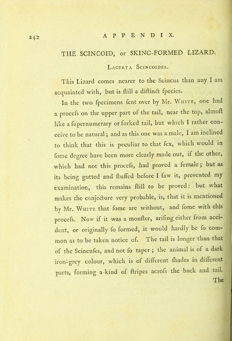 242 THE SCINCOID, or SKINC-FORMED LIZARD. Lacerta Scincoides. This Lizard comes nearer to the Scinciis than any I am acquainted with, but is ftill a diftind fpecies. In the two fpecimens fent over by Mr. White, one had a procefs on the upper part of the tail, near the top, almofl like a fupernumerary or forked tail, but which I rather con- ceive to be natural; and as this one was a male, I am inclined to think that this is j>eculiar to that fex, which would in fome degree have been more clearly made out, if the other, which had not this procefs, had proved a female y but as its being gutted and huffed before I faw it, prevented my . examination, this remains hill to be proved : but what makes the conjedure very probable, is, that it is mentioned by Mr. White that fome are without, and fome with this , procefs. Now if it was a monfter, arifing either from acci- dent, or originally fo formed, it would hardly be fo com- < mon as to be taken notice of. The tail is longer than that of the Scincufes, and not fo taper ; the animal is of a dark | iron-grey colour, which is of different fhades in different ^ parts, forming a kind of ftripes acrofs the back and tail, j The ;