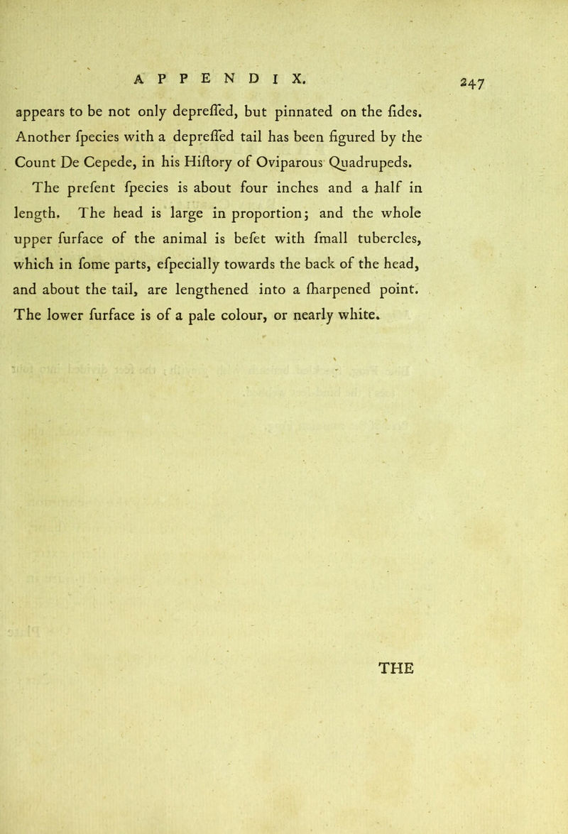 appears to be not only deprefTed, but pinnated on the fides. Another fpecies with a deprefTed tail has been figured by the Count De Cepede, in his Hiftory of Oviparous* Quadrupeds. The prefent fpecies is about four inches and a half in length. The head is large in proportion; and the whole upper furface of the animal is befet with fmall tubercles, which in fome parts, efpecially towards the back of the head, and about the tail, are lengthened into a fharpened point. The lower furface is of a pale colour, or nearly white*