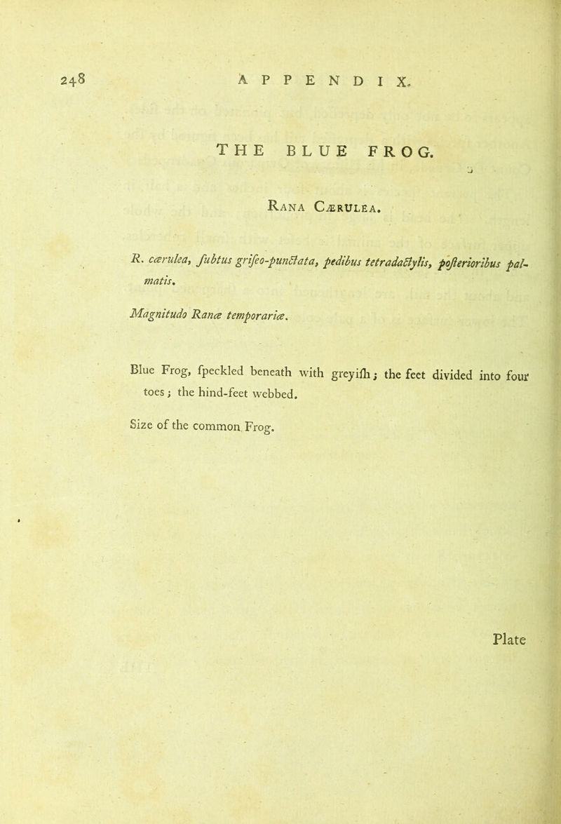 THE BLUE FROG. Rana C^rulea. R. Cisruleaj fubtus grifeo-piin6tata, pedibus tetradadfylisy pojierioribus pal- math, M^agnitudo Ranee temporaries^ Blue Frog, fpeckled beneath with greyiih; the feet divided into fouf toes; the hind-feet webbed. Size of the common Frog. Plate