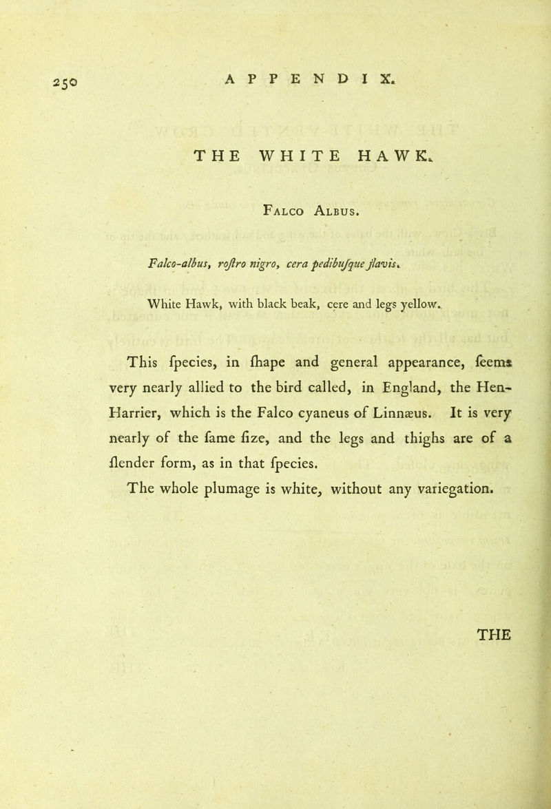 250 THE WHITE HAWK. Falco Albus. Falco-albust rojlro nigroy cera pedibujque jlavisy White Hawk, with black beak, cere and legs yellow.. This fpecies, in fhape and general appearance, feemt very nearly allied to the bird called, in England, the Hen* Harrier, which is the Falco cyaneus of Linnaeus. It is very nearly of the fame fize, and the legs and thighs are of a {lender form, as in that fpecies. The whole plumage is white, without any variegation. TEIE