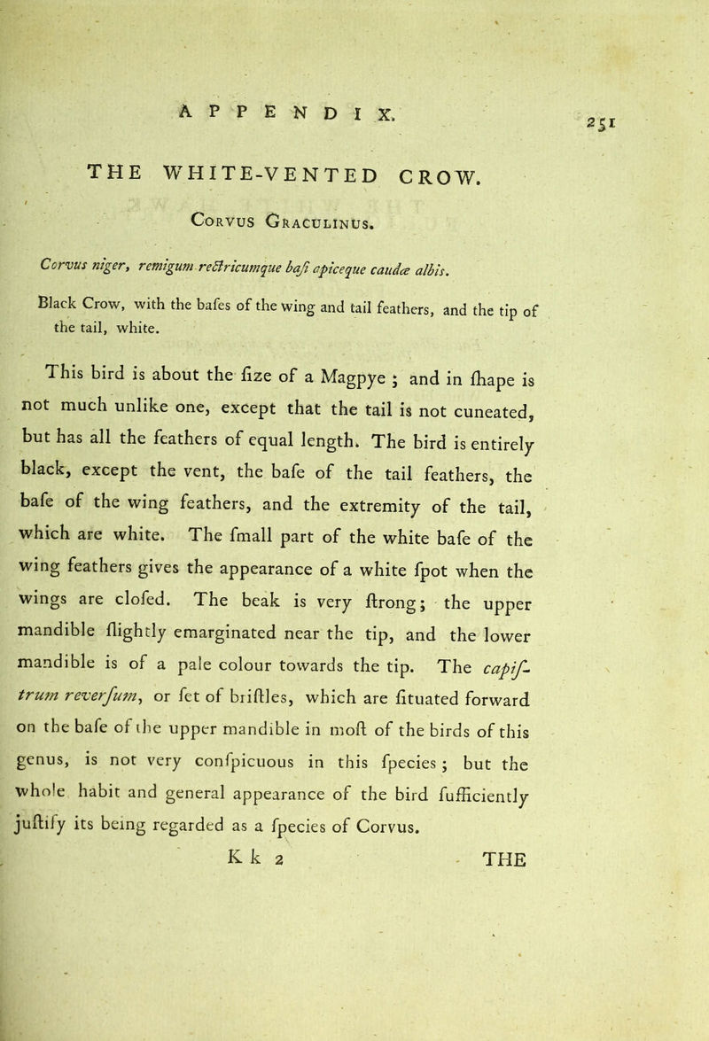 THE WHITE-VENTED CROW, f CoRVUS Graculinus. Corvus niger, remigum re5iricumque bafi a pice <iue caudce albis. Black Crow, with the bafes of the wing and tail feathers, and the tip of the tail, white. This bird is about the fize of a Magpye ; and in fhape is not much unlike one, except that the tail is not cuneated, but has all the feathers of ecjual length* The bird is entirely black, except the vent, the bafe of the tail feathers, the bafe of the wing feathers, and the extremity of the tail, which are white* The fmall part of the white bafe of the wing feathers gives the appearance of a white fpot when the wings are clofed. The beak is very ftrong; the upper mandible flightly emarginated near the tip, and the lower mandible is of a pale colour towards the tip. The capif- trum reverfum^ or fet of briftles, which are lituated forward on the bafe of ihe upper mandible in moft of the birds of this genus, is not very confpicuous in this fpecies ; but the whole habit and general appearance of the bird fufficiently juftify its being regarded as a fpecies of Corvus.