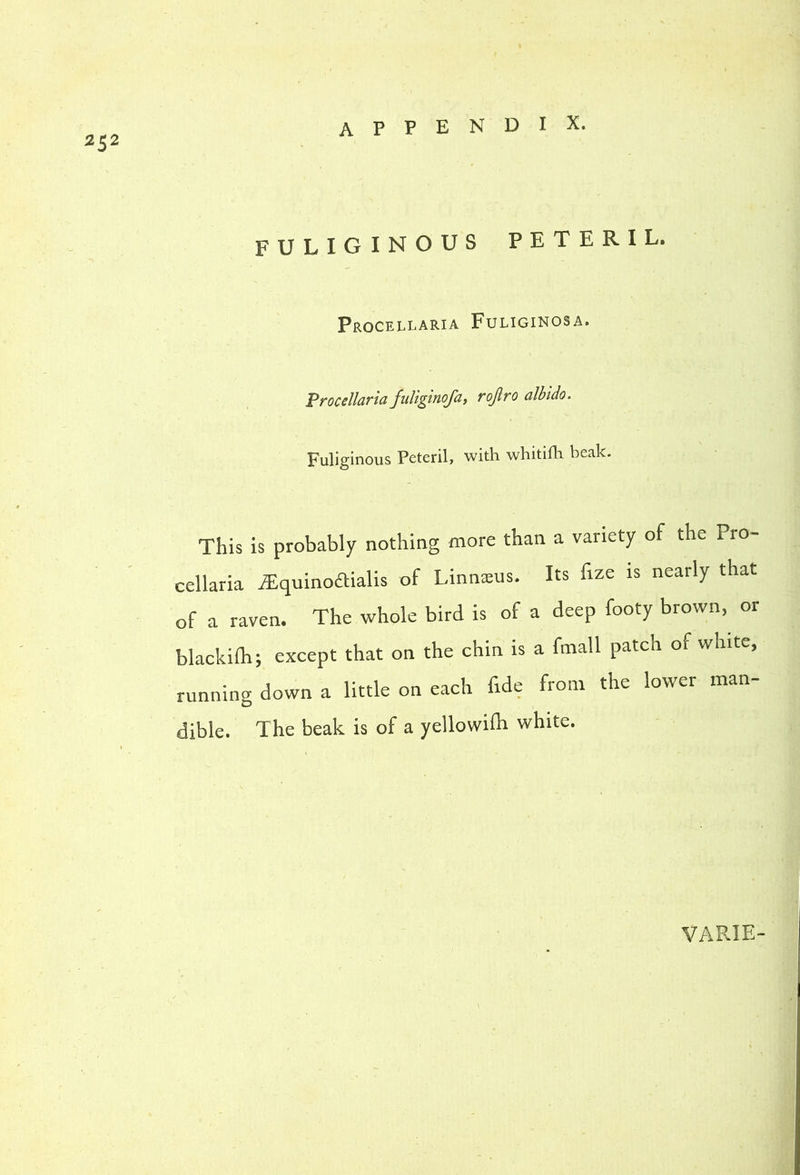 2^2 fuliginous peteril. pROCELLARIA FULIGINOSA. Frocellaria fuliginofa, rojiro albido. Fuliginous Peteril, with whitifh beak. This is probably nothing more than a variety of the Pro- cellaria ^Equinodialis of Linnsus. Its fize is nearly that of a raven. The whole bird is of a deep footy brown, or blackilh; except that on the chin is a ftnall patch of white, running down a little on each fide from the lower man- dible. The beak is of a yellowifh white. VARIE-