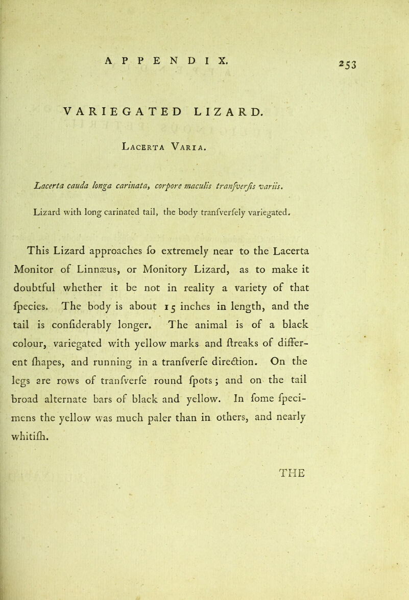 r APPENDIX. \ 253 VARIEGATED LIZARD. Lacerta Varia. Lacerta cauda longa carinatay corpore maculls tranfverjis variis. Lizard with long carinated tail, the body tranfverfely variegated. This Lizard approaches fo extremely near to the Lacerta Monitor of Linnaeus, or Monitory Lizard, as to make it doubtful whether it be not in reality a variety of that fpecies. The body is about 15 inches in length, and the tail is confiderably longer. The animal is of a black colour, variegated with yellow marks and flreaks of differ- ent fhapes, and running in a tranfverfe diredlion. On the legs are rows of tranfverfe round fpots; and on> the tail broad alternate bars of black and yellow. In fome fpeci- mens the yellow was much paler than in others, and nearly whitifh. THE