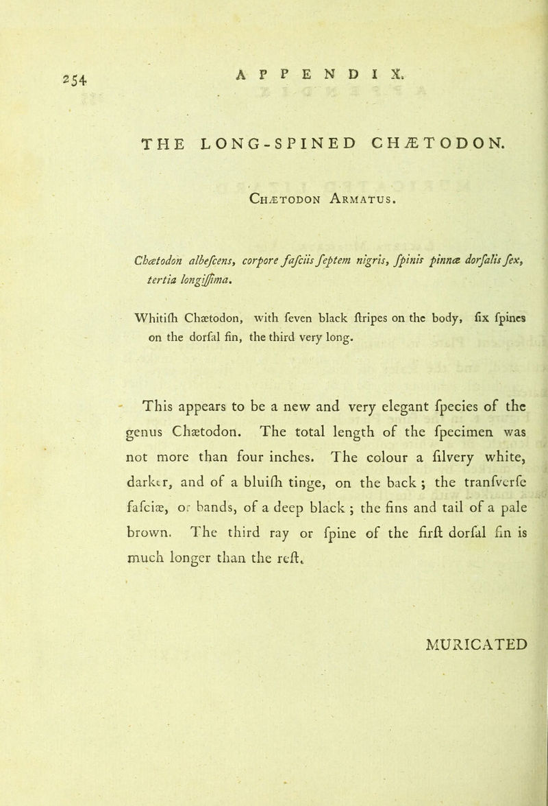 APPENDIX. 254 THE LONG-SPINED CH^TODON. Ch^todon Armatus. Chest odon albefcens, cor pore fafeiis feptem nigris, fpinh pinna dorfaHs fex^ tertia longijjima, Whitifh Chaetodon, with feven black ftripes on the body, fix fpincs on the dorfal fin, the third very long. This appears to be a new and very elegant fpecies of the genus Chaetodon. The total length of the fpecimen was not more than four inches. The colour a Elvery white, darktr, and of a bluifli tinge, on the back ; the tranfverfe fafcice, or bands, of a deep black ; the fins and tail of a pale brown. The third ray or fpine of the firfl: dorfal fin is much longer than the refi:^ MURICATED