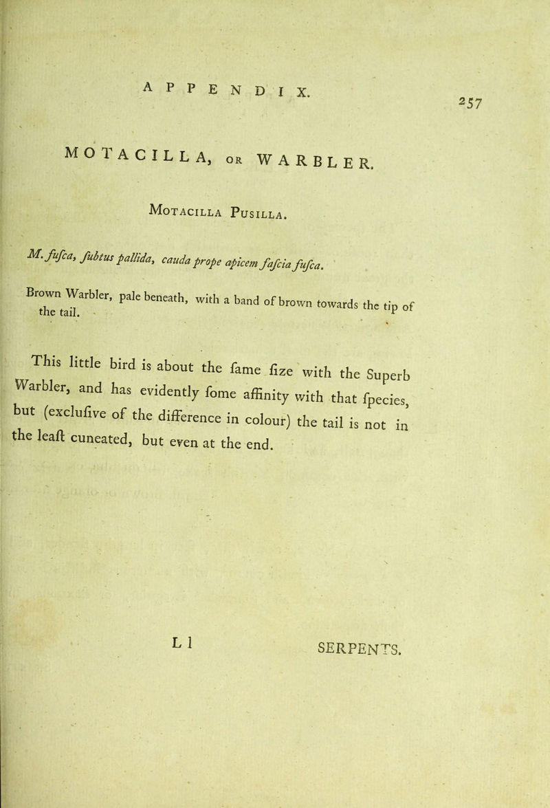 257 MOlACILLA, OR WARBLER. Motacilla Pusilla. M.fufca, fubtus fallida, cauda prope afkem fafcia fufca. Brown Warbler, pale beneath, with a band of brown towr the tail. ' towards the tip of This little bird is about the fame fize with the Superb Warbler, and has evidently fome affinity with that fpecies, but (exclufive of the difference in colour) the tail is not in the leaft cuneated, but even at the end. L 1 SERPENTS.