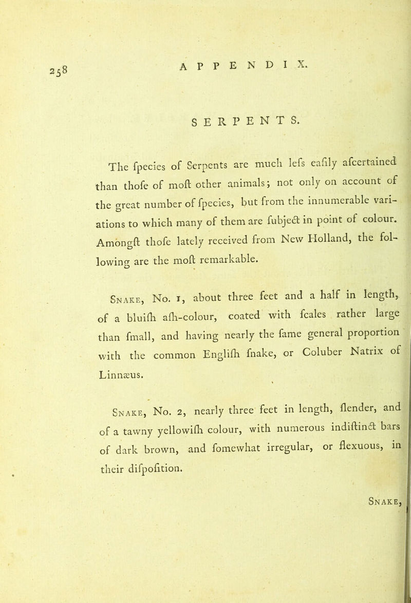 SERPENTS. The fpecies of Serpents are much lefs eafily afceitained than thofe of moft other animals; not only on account of the great number of fpecies, but from the innumerable vari- ations to which many of them are fubjed in point of colour. Ambngft thofe lately received from New Holland, the fol- lowing are the mofl remarkable. Snake, No. t, about three feet and a half in length, of a bluifh afli-colour, coated with fcales rather large than fmall, and having nearly the fame general proportion with the common Englifh fnake, or Coluber Natrix of Linn^us. V Snake, No. 2, nearly three feet in length, flender, and of a tawny yellowiili colour, with numerous indiftind bars of dark brown, and fomewhat irregular, or flexuous, m their difpolition. Snake,