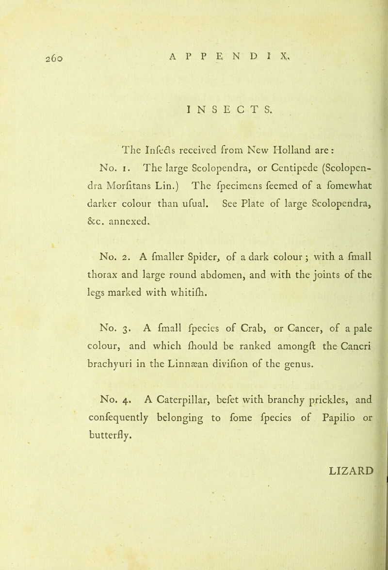 INSECTS. The Infeds received from New Holland are: No. I. The large Scolopendra, or Centipede (Scolopen- dra Morfitans Lin.) The fpecimens feemed of a fomewhat darker colour than ufual. See Plate of large Scolopendra^ &c. annexed. No. 2. A fnialler Spider^ of a dark colour; with a fmall thorax and large round abdomen, and with the joints of the legs marked with whitilE. No. 3. A fmall fpecies of Crab, or Cancer, of a pale colour, and which fhould be ranked amongft the Cancri brachyuri in the Linnasan divifion of the genus. No. 4. A Caterpillar, befet with branchy prickles, and confequently belonging to fome fpecies of Papilio or butterfly. LIZARD