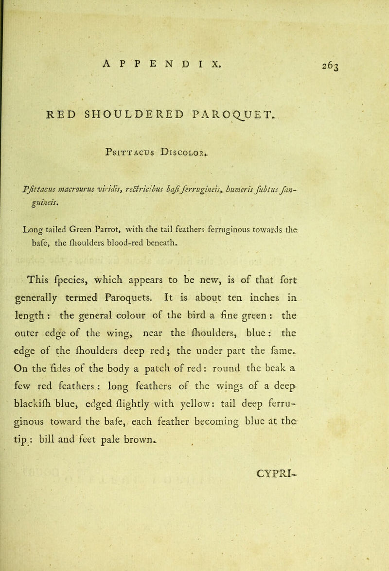 RED SHOULDERED PAROQJJET. PsiTTAcus Discolor.. TJittacus macrourus viridis, rediricibus bajiferrugine'isy hiimeris fubtus fan-- guineis. Long tailed Green Parrot, with the tail feathers ferruginous towards the bafe, the Ihoulders blood-red beneath^ This fpecies, which appears to be new, is of that fort generally termed Paroquets. It is about ten inches in length : the general colour of the bird a fine green : the outer edge of the wing, near the fhoulders, blue: the edge of the fhoulders deep red; the under part the fame.. On the fides of the body a patch of red: round the beak a few red feathers : long feathers of the wings of a deep blackifh blue, edged flightly with yellow: tail deep ferru- ginous toward the bafe, each feather becoming blue at the tip : bill and feet pale brown^ CYPRI-