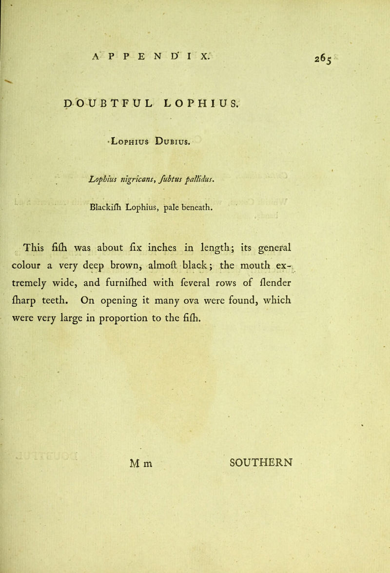 A P P E N D' I X. DOUBTFUL LOPHIUS. •Lophius Dubius. Lophius nigricans, fiibtus pallidus. Blackifh Lophius, pale beneath. This fiih was about fix inches in length; its general colour a very deep brown, almoft black; the mouth ex- tremely wide, and furnifhed with feveral rows of flender fharp teeth. On opening it many ova were found, which were very large in proportion to the fiih. M m SOUTHERN