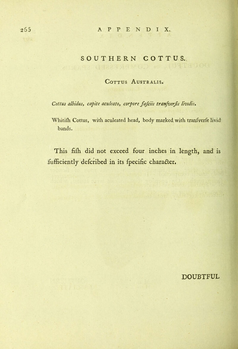 SOUTHERN COTTUS.. CoTTUs Australis. Cot t us albidusy capite acute at Oy corpore fafciis tranfverjis livtdis, Whitifli Cottus, with aculeated head, body marked, with tranfverfc livid bands. This fifh did not exceed four inches in length, and is fufficiently defcribed in its fpecific charadler. DOUBTFUL