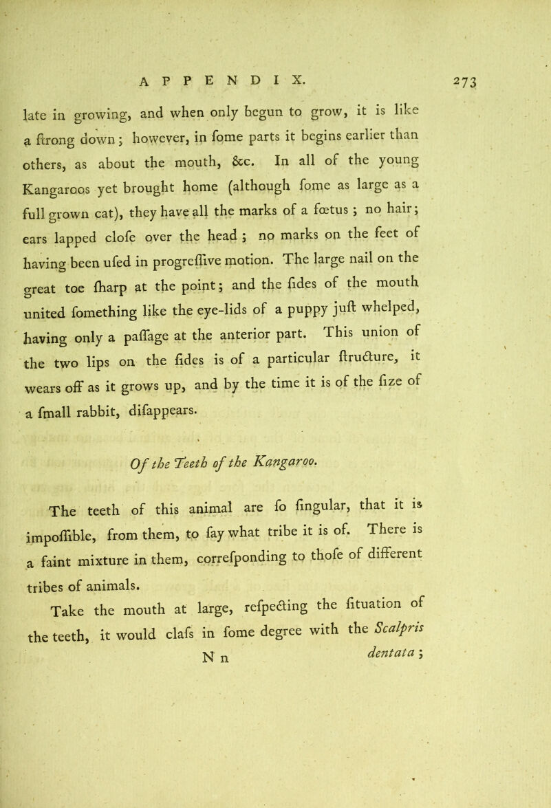 late in growing, and when only begun to grow, it is like a firong down 5 however, in Ibme parts it begins earlier than others, as about the mouth, &c. In all of the young Kangaroos yet brought home (although fome as large as a full grown cat), they have all the marks of a foetus ; no hair; ears lapped clofe over the head ; np marks on the feet of having been uled in progrellive mption. The large nail on the great toe fharp at the point; and the hdes of the mouth united fomething like the eye-lids of a puppy juft whelped, having only a paftage at the anterior part. This union of the two lips on the fades is of a particular ftrudure, it wears off as it grows up, and by the time it is of the fize of a fmall rabbit, difappears. Of the 'Teeth of the Kangaroo. The teeth of this animal are fo ftngular, that it is impoffible, from them, to fay what tribe it is of. There is a faint mixture in them, correfponding to thofe of different tribes of animals. Take the mouth at large, refpeaing the fituation of the teeth, it would clafs in fome degree with the Scalprts ■M- „ dentata;