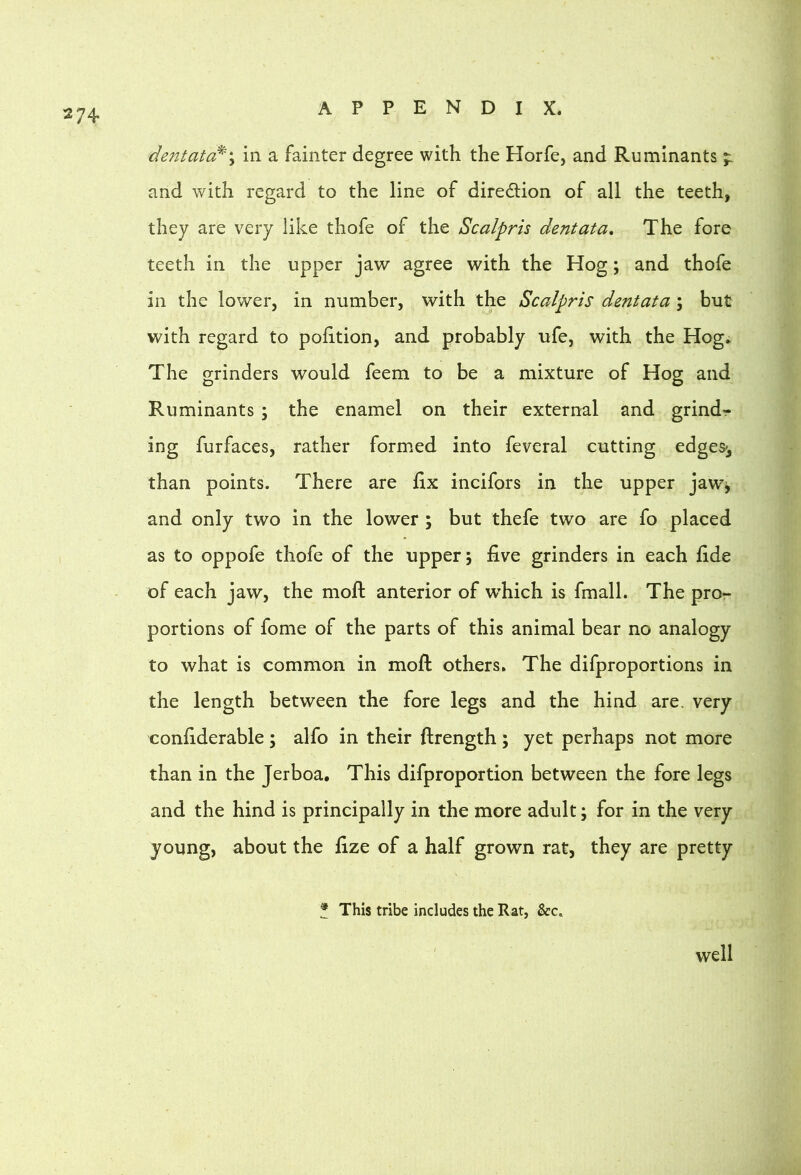 dentata^'\ in a fainter degree with the Horfe, and Ruminants 5: and with regard to the line of direction of all the teeth, they are very like thofe of the Scalpris dentata. The fore teeth in the upper jaw agree with the Hog; and thofe in the lower, in number, with the Scalpris dcntata; but with regard to pofition, and probably ufe, with the Hog. The grinders would feem to be a mixture of Hog and Ruminants ; the enamel on their external and grind- ing furfaces, rather formed into feveral cutting edges^ than points. There are fix incifors in the upper jawj and only two in the lower ; but thefe two are fo placed as to oppofe thofe of the upper 5 five grinders in each fide of each jaw, the moft anterior of w’hich is fmall. The pror portions of fome of the parts of this animal bear no analogy to what is common in moft others. The difproportions in the length between the fore legs and the hind are. very confiderable; alfo in their ftrength; yet perhaps not more than in the Jerboa. This difproportion between the fore legs and the hind is principally in the more adult; for in the very young, about the fize of a half grown rat, they are pretty * This tribe includes the Rat, &c. well