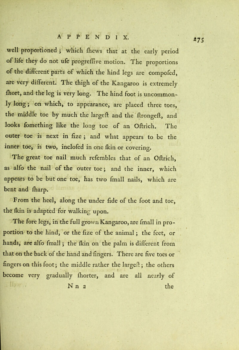 ^75 well proportioned ; which Ihews that at the early period of life they do not ule progreflive motion. The proportions of the different parts of which the hind legs are compofed, are very different. The thigh of the Kangaroo is extremely fhort, and the leg is very long. The hind foot is uncommon- ly long; on which, to appearance, are placed three toes, the middle toe by much the largeft and the' ftrongeft, and looks fomething like the long toe of an Oftrich. The outer toe is next in fize; and what appears to be the inner toe, is two, inclofed in one fkin or covering. The great toe nail much refembles that of an Oftrich, as alfo the nail of the outer toe; and the inner, which appears to be but one toe, has two fmall nails, which are bent and ftiarp. From the heel, along the under fide of the foot and toe, the fkin is adapted for walking upon. ' The fore legs, in the full grown Kangaroo, are fmall in pro- portion to the hind, or the ftze of the animal; the feet, or hands, are alfo fmall; the fkin on the palm is different from that on the back of the hand and fingers. There are five toes or fingers on this foot; the middle rather the largeft; the others - become very gradually fhorter, and are all nearly of N n 2 the