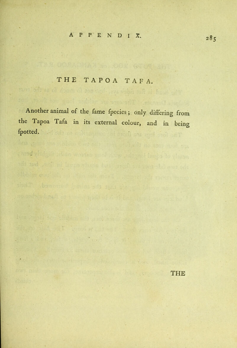 285 THE TAPOA TAP A. Another 2.nini2.1 oF the fknie fpecies j only dilFering From the Tapoa TaFa in its external colour, and in beino- Fpotted.