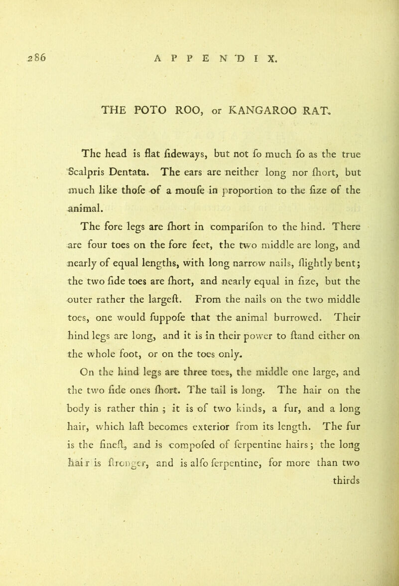 THE POTO ROO, or KANGAROO RAT, The head is flat fideways, but not fo much fo as the true Scalpris Dentata. The ears are neither long nor Ihort, but much like thofe of a moufe in proportion to the fize of the animal. The fore legs are fhort in comparifon to the hind. There are four toes on the fore feet, the two middle are long, and nearly of equal lengths, with long narrow nails, ilightly bent; the two fide toes are fhort, and nearly equal in fize, but the outer rather the largeft. From the nails on the two middle toes, one would fuppofe that the animal burrowed. Their hind legs are long, and it is in their power to fland either on the whole foot, or on the toes only. On the hind legs are three toes, the middle one large, and the two fide ones fhort. The tail is long;. The hair on the body is rather thin ; it is of two kinds, a fur, and a long hair, which lafl becomes exterior from its length. The fur is the fineR, and is compofed of Terpentine hairs; the long hair is fircDger, and is alfo ferpentine, for more than two thirds