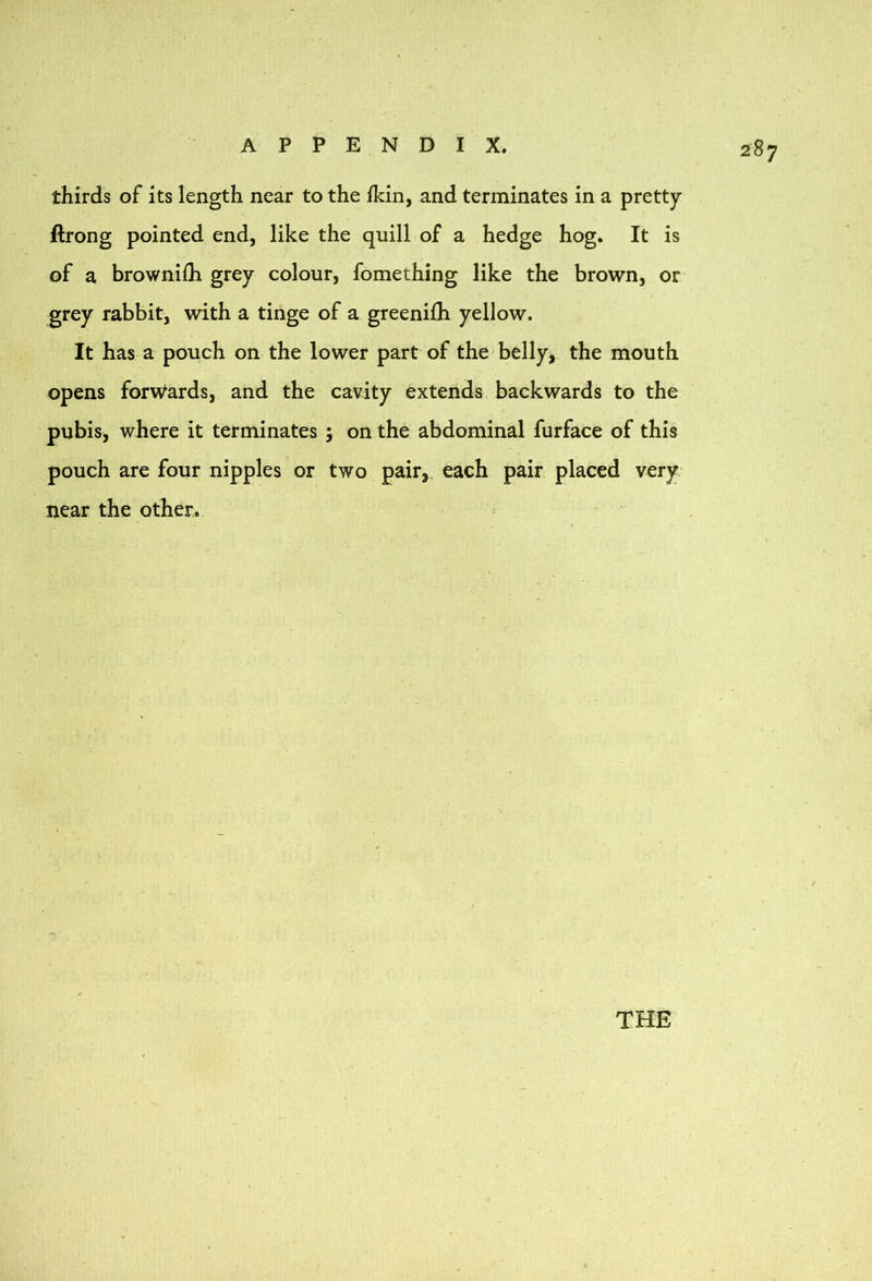 287 thirds of its length near to the ikin, and terminates in a pretty ftrong pointed end, like the quill of a hedge hog. It is of a brownifli grey colour, fomething like the brown, or grey rabbit, with a tinge of a greenifli yellow. It has a pouch on the lower part of the belly, the mouth opens forwards, and the cavity extends backwards to the pubis, where it terminates ; on the abdominal furface of this pouch are four nipples or two pair, each pair placed very; near the other.