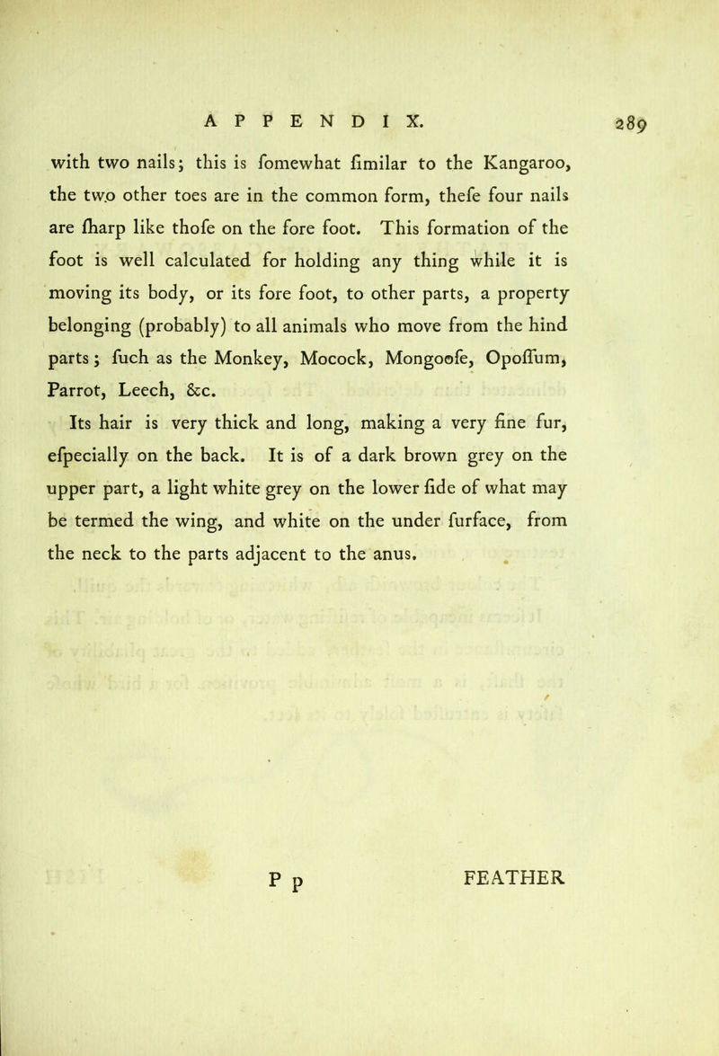 289 with two nails; this is fomewhat fimilar to the Kangaroo, the two other toes are in the common form, thefe four nails are fharp like thofe on the fore foot. This formation of the foot is well calculated for holding any thing while it is moving its body, or its fore foot, to other parts, a property belonging (probably) to all animals who move from the hind parts; fuch as the Monkey, Mocock, Mongoofe, OpolTum, Parrot, Leech, &c. Its hair is very thick and long, making a very fine fur, efpecially on the back. It is of a dark brown grey on the upper part, a light white grey on the lower fide of what may be termed the wing, and white on the under furface, from the neck to the parts adjacent to the anus. FEATHER