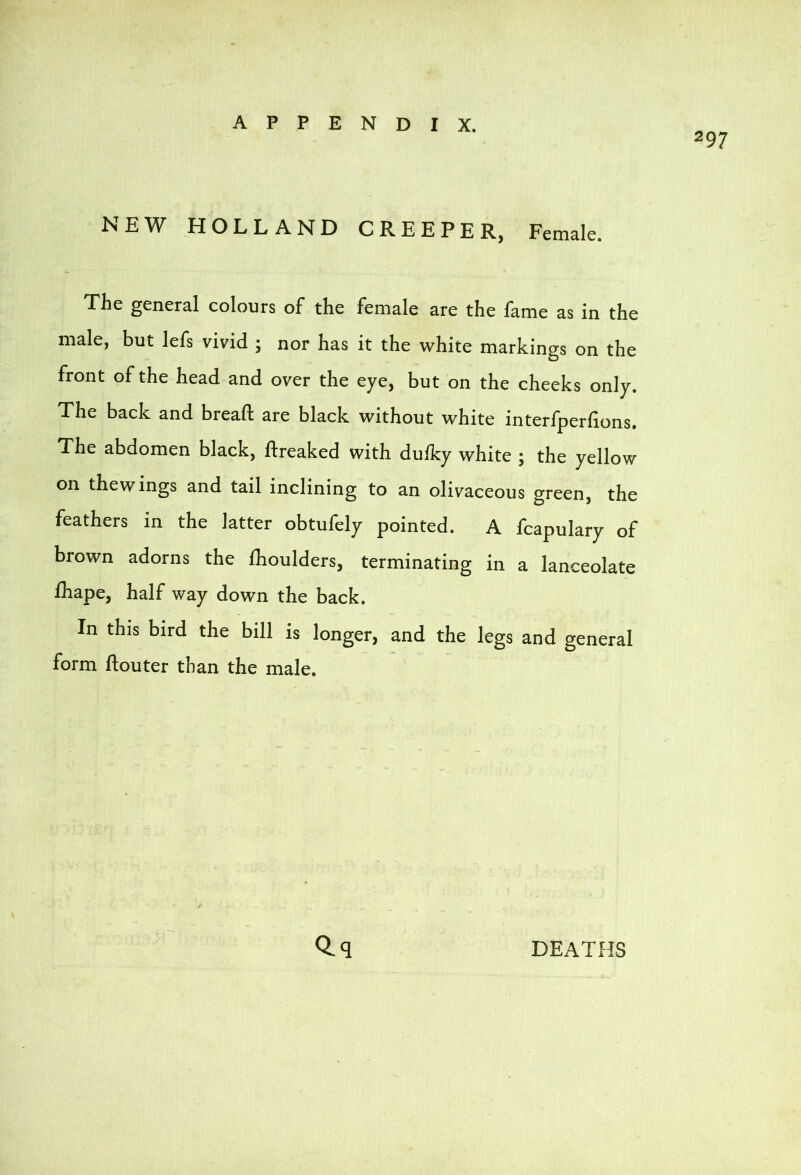 NEW HOLLAND CREEPER, Female. The general colours of the female are the fame as in the male, but lefs vivid ; nor has it the white markings on the front of the head and over the eye, but on the cheeks only. The back and breaft are black without white interfperfions. The abdomen black, ftreaked with duiky white ; the yellow on the wings and tail inclining to an olivaceous green, the feathers in the latter obtufely pointed. A fcapulary of brown adorns the fhoulders, terminating in a lanceolate fhape, half way down the back. In this bird the bill is longer, and the legs and general form ftouter than the male. Q.q DEATHS