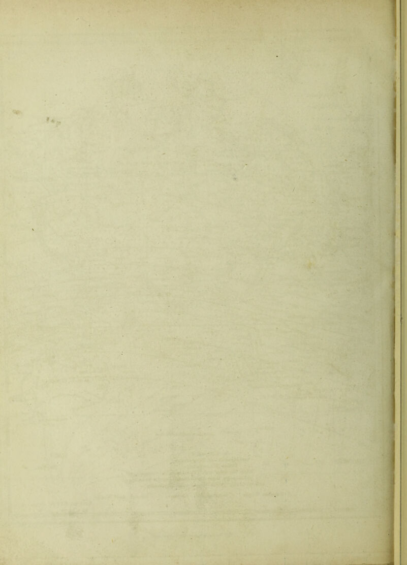 ■ ; - - ' % P5B h SI I ’ 11 ' ' t : 1 ■ . , ■ '■ ' - - •■■■ -vj ' ' . . i